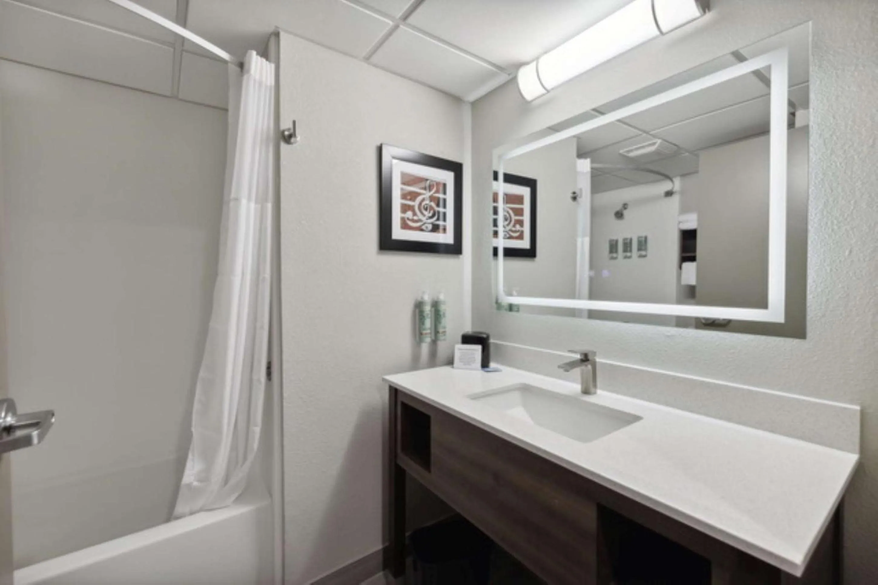 Bathroom in Red Roof Inn & Suites Manchester, TN