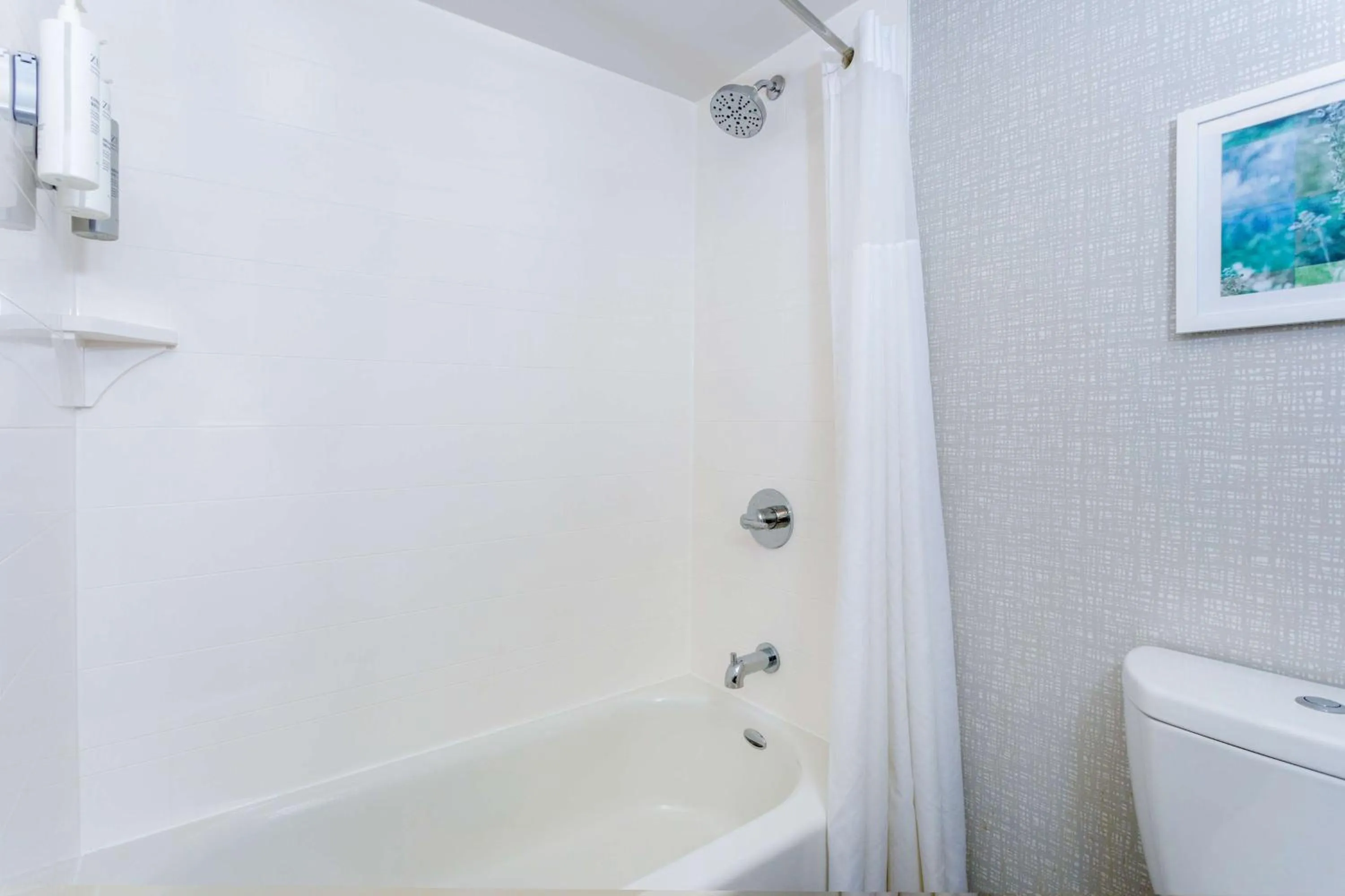 Bathroom in Hampton Inn Jacksonville - I-95 Central