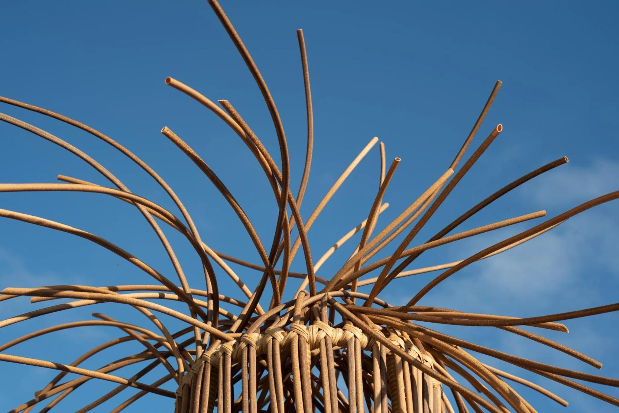 El Alquimista Yoga Spa