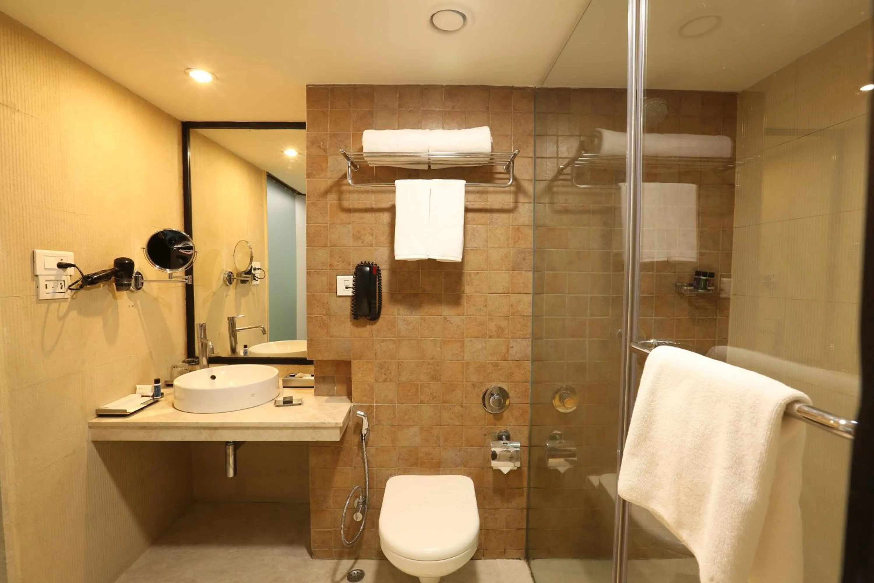 Bathroom in Mosaic Original,Noida