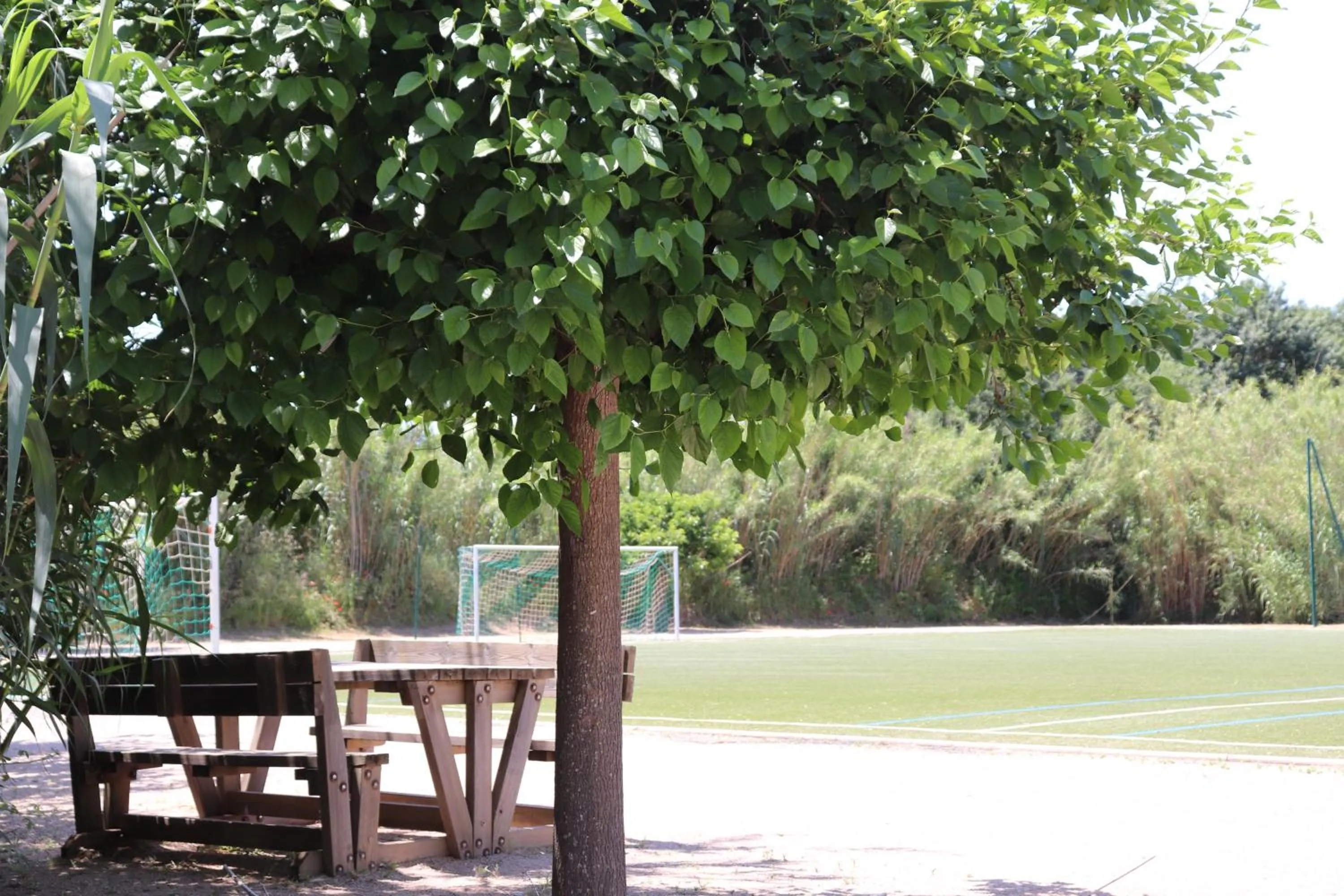 People in Mobil Homes Vacances