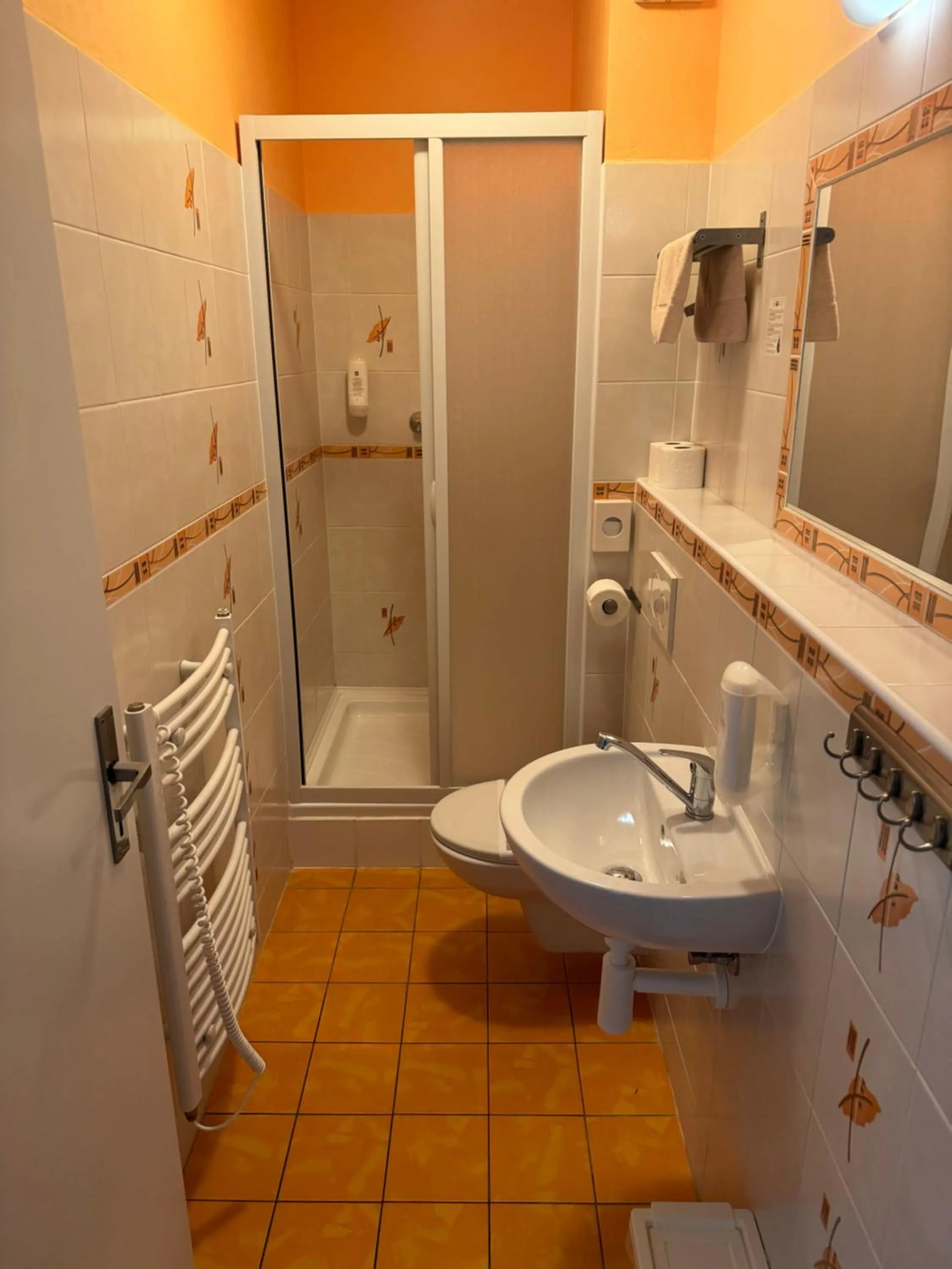 Shower in Hotel Formule