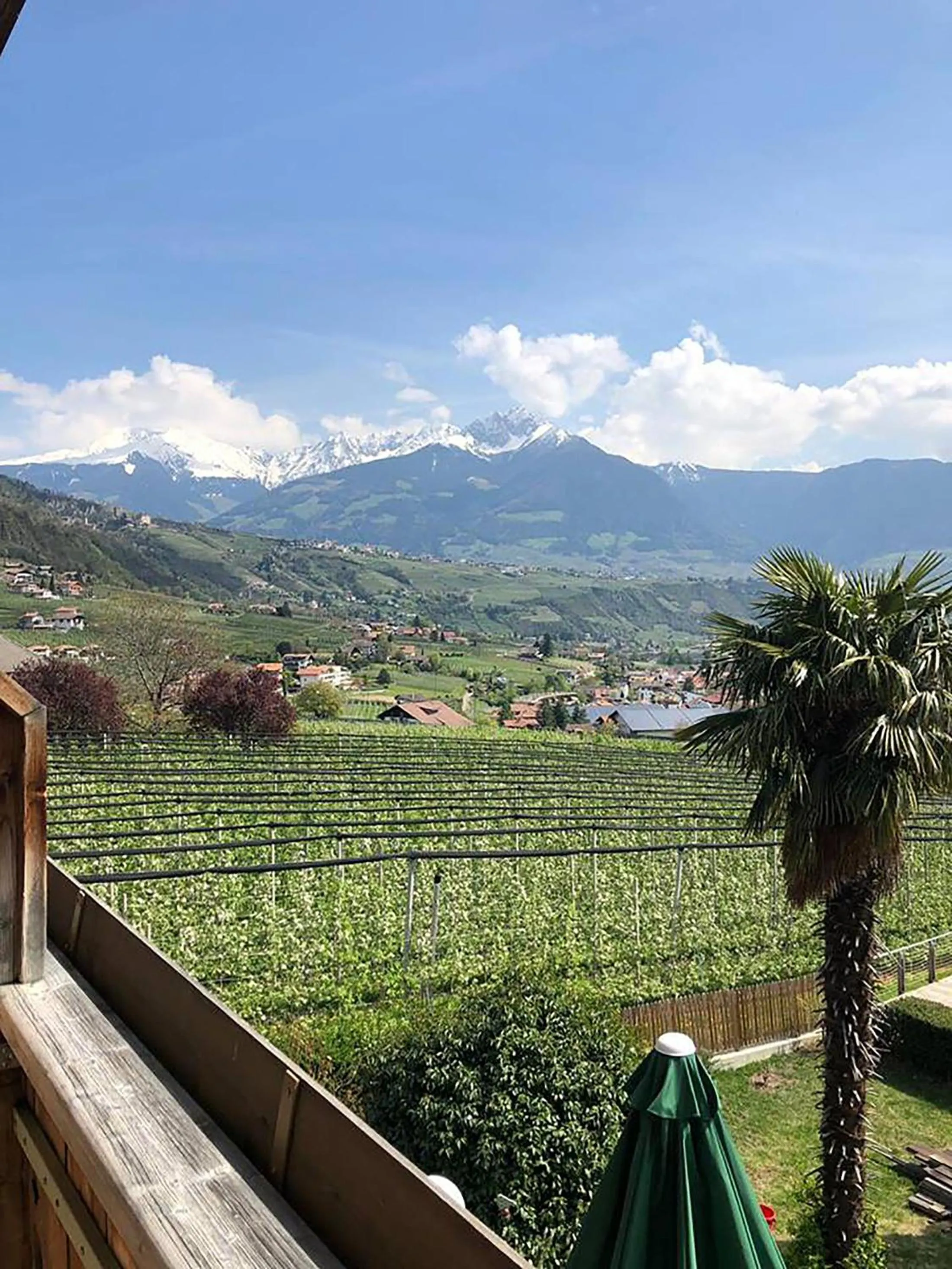 Spring in Hotel Residence MaVie