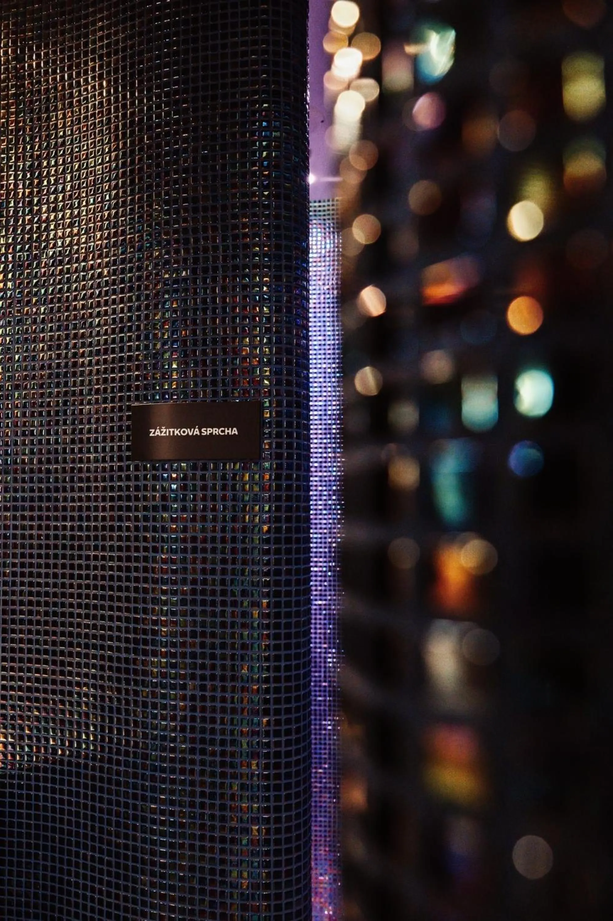 Spa and wellness centre/facilities in Hotel Forea