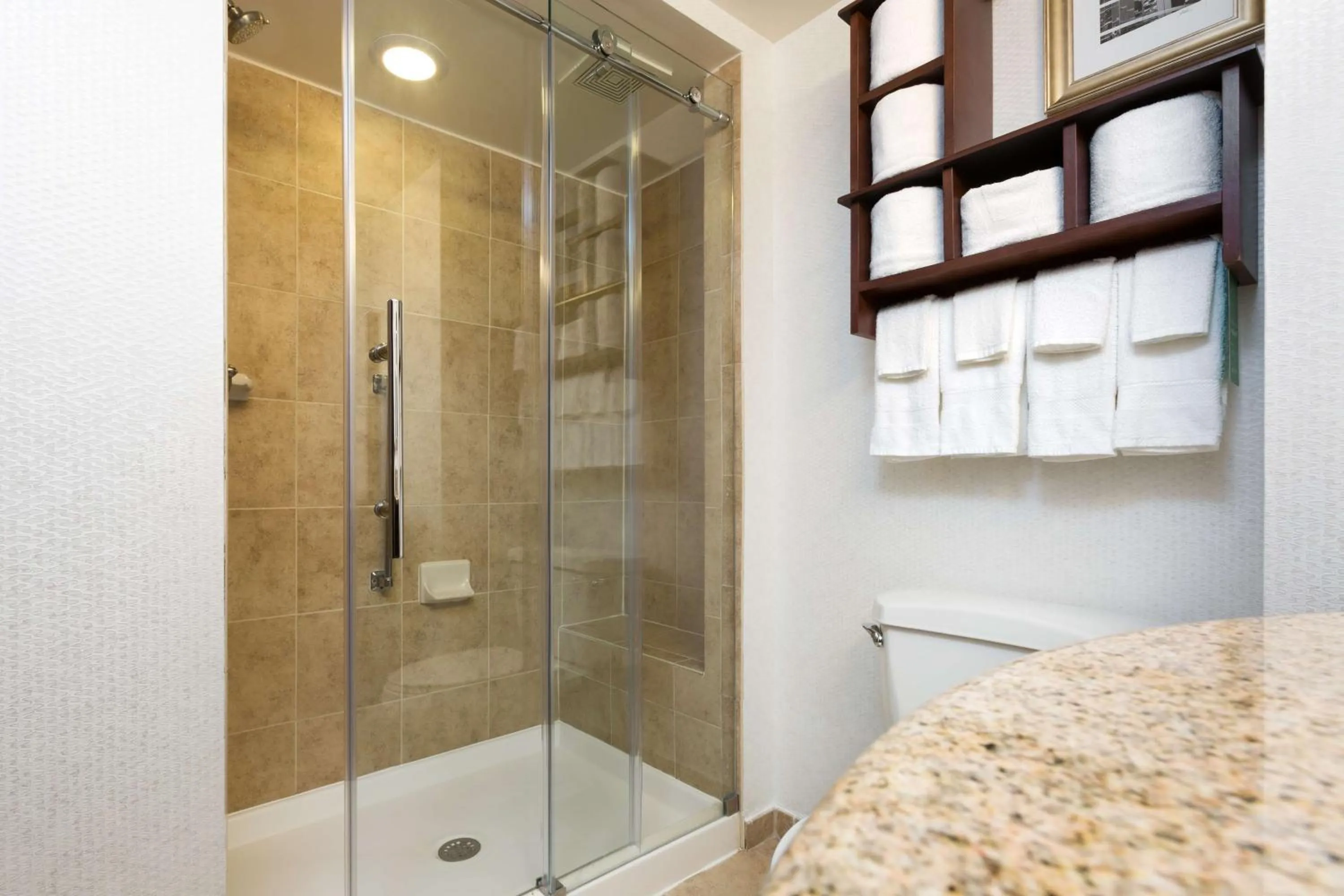 Bathroom in Hampton Inn Houston Near the Galleria