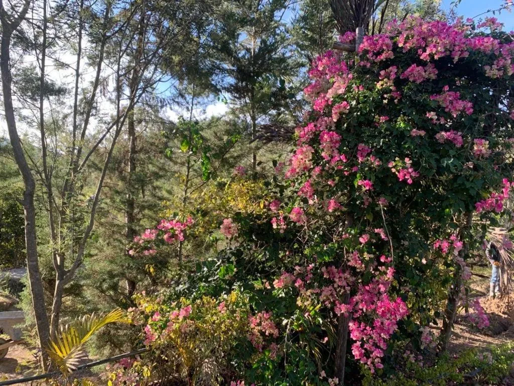 Natural landscape in Hotel Campestre mirador CaloPala