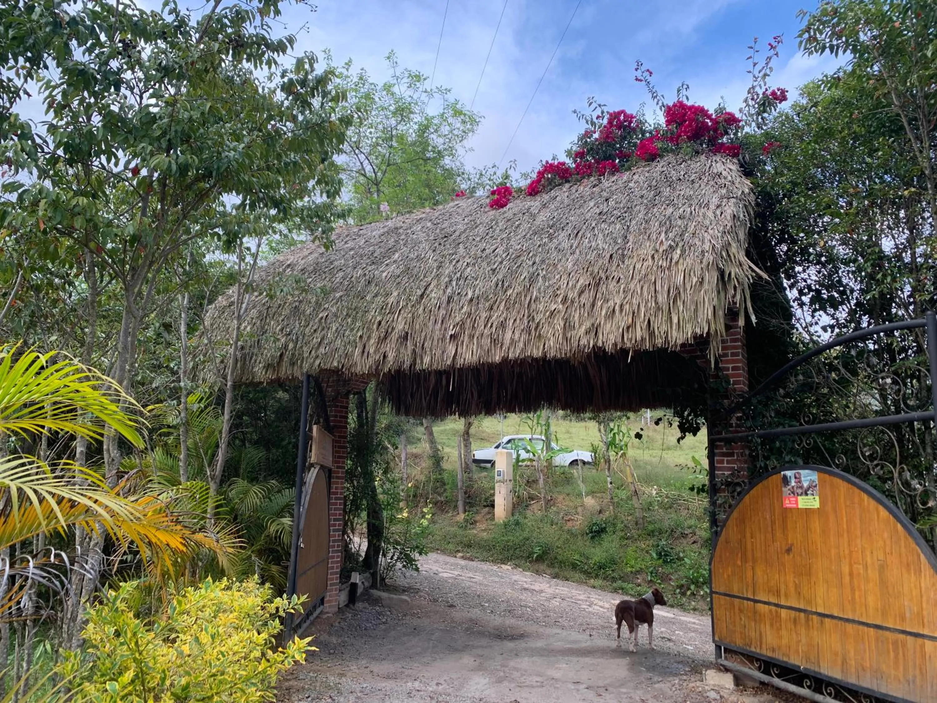 Facade/entrance in Hotel Campestre mirador CaloPala