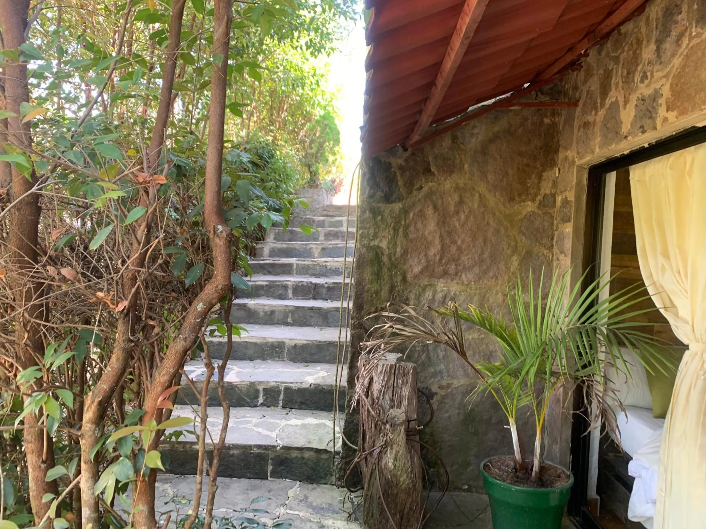 Garden in Hotel Campestre mirador CaloPala