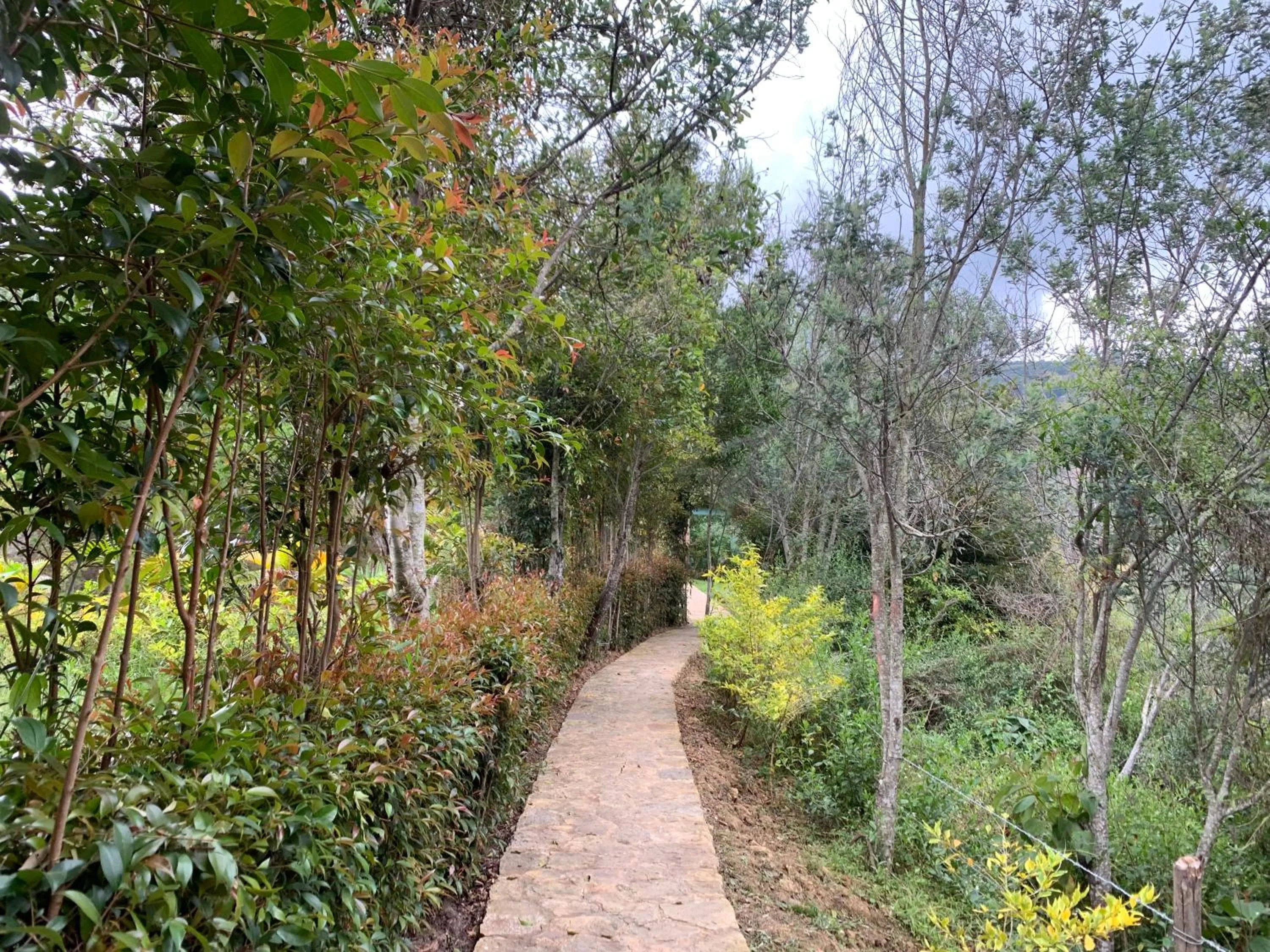 Natural landscape in Hotel Campestre mirador CaloPala