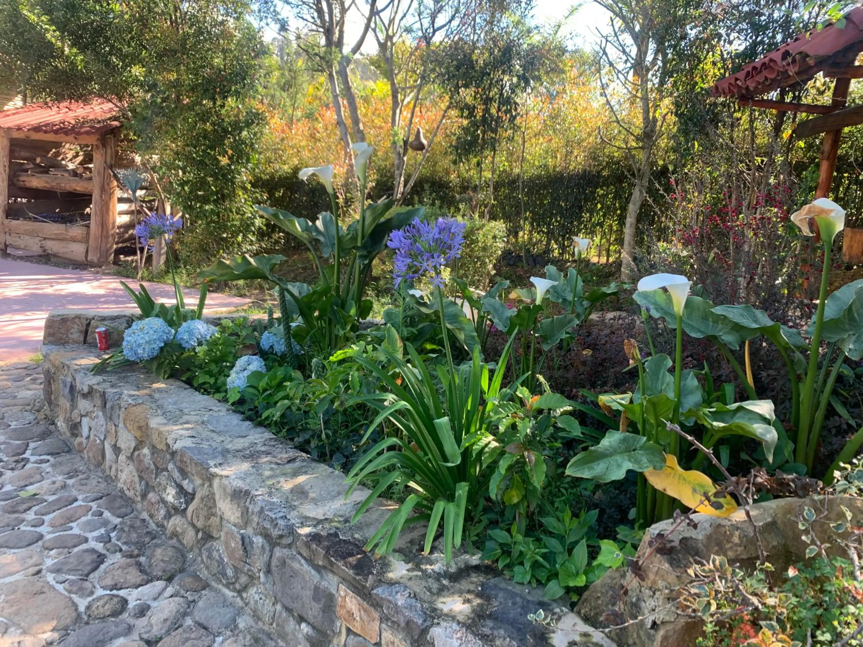 Garden in Hotel Campestre mirador CaloPala