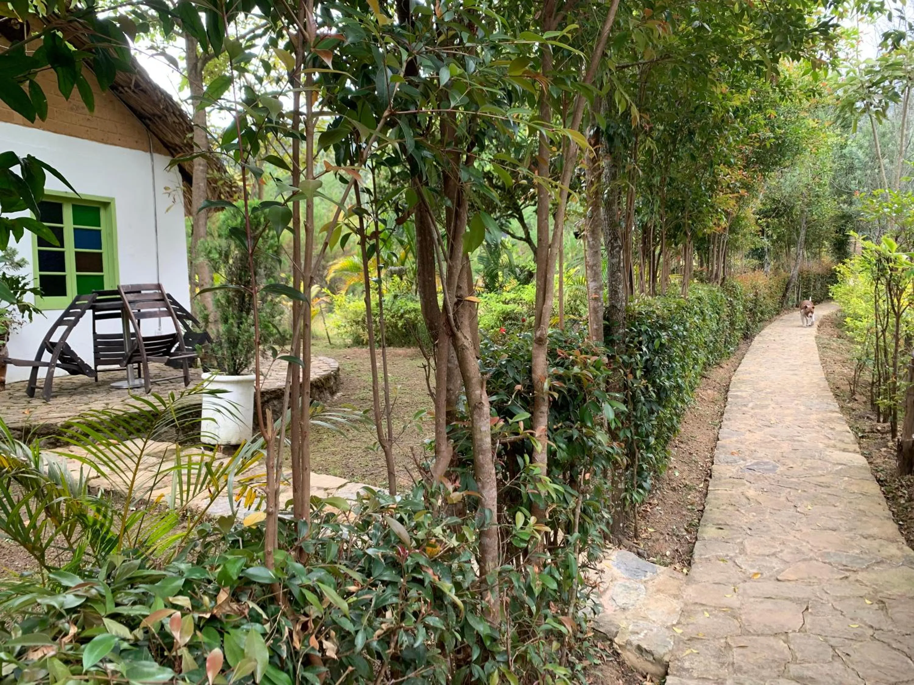 Spring in Hotel Campestre mirador CaloPala