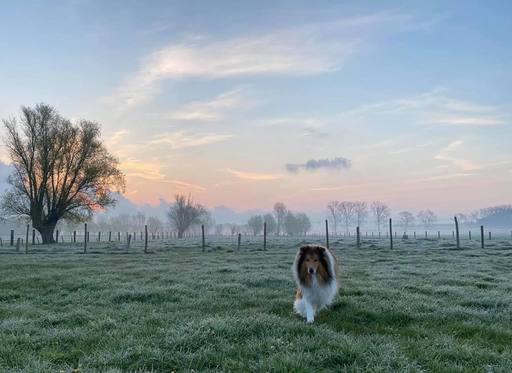 Hiking in B&B De Vossenbarm