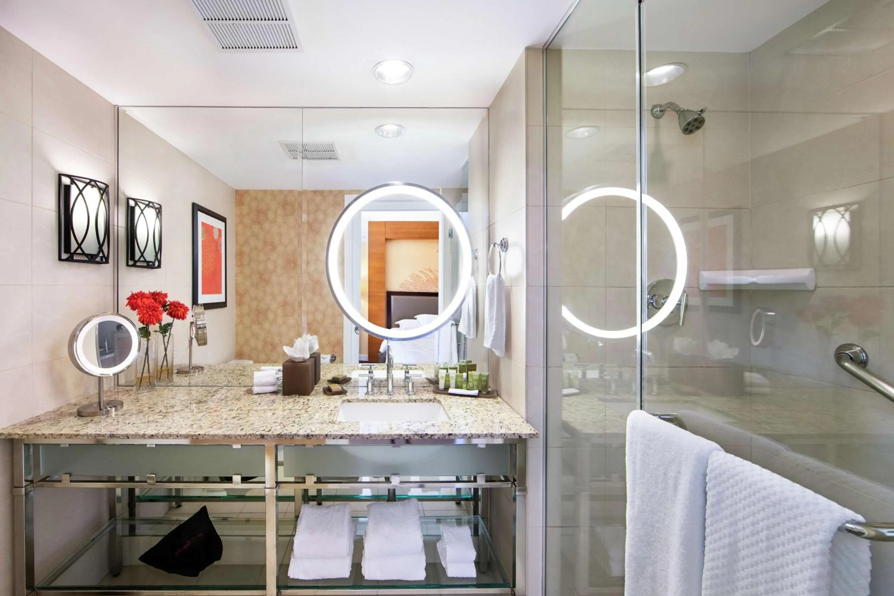 Bathroom in Hilton University of Houston