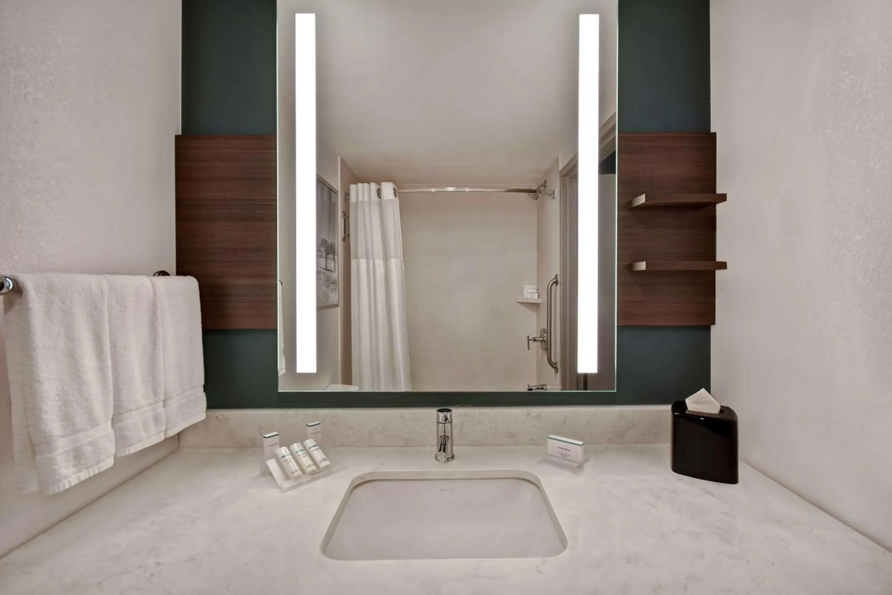 Bathroom in Hilton Garden Inn Houston/Galleria Area