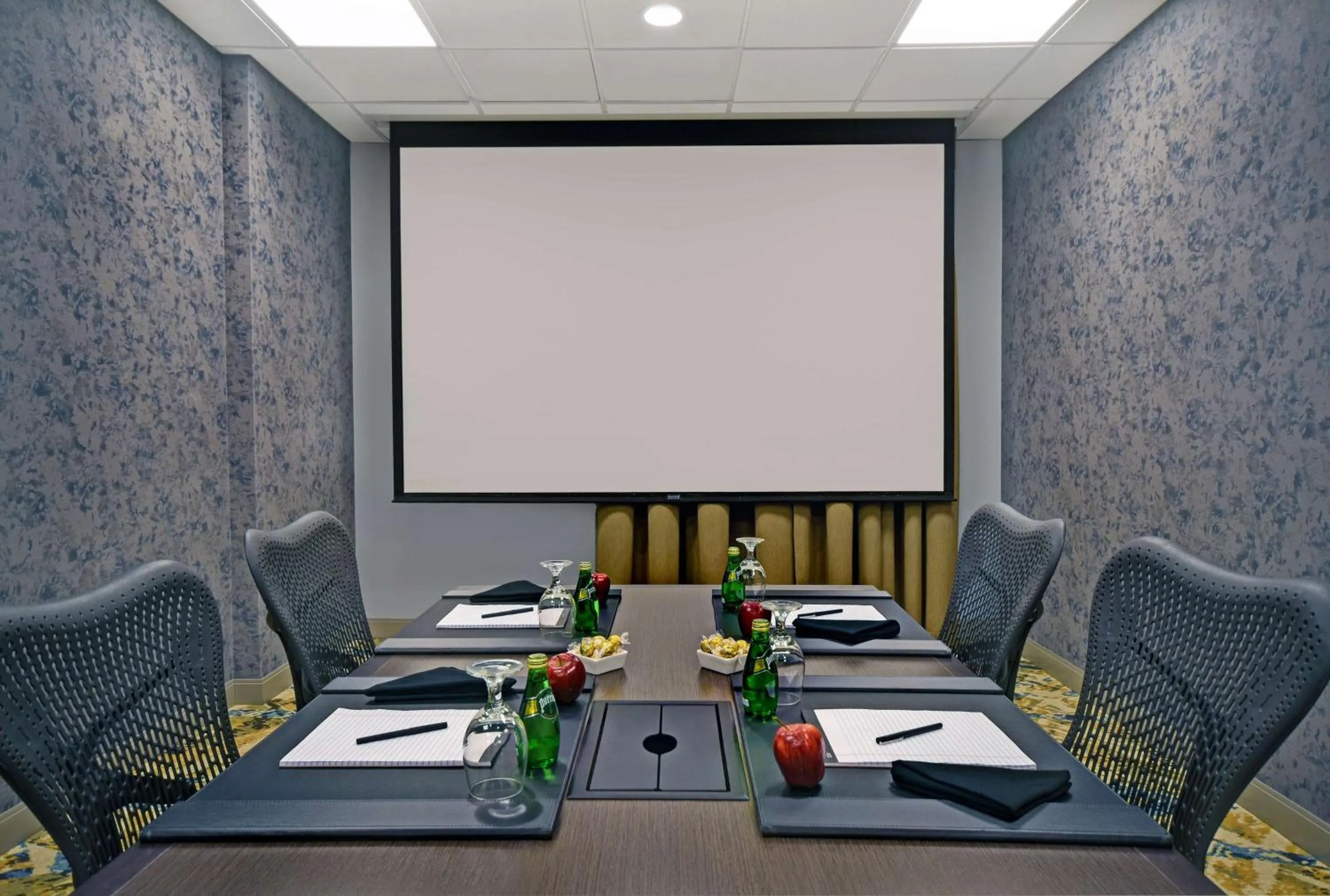 Meeting/conference room in Hilton Garden Inn Houston/Galleria Area