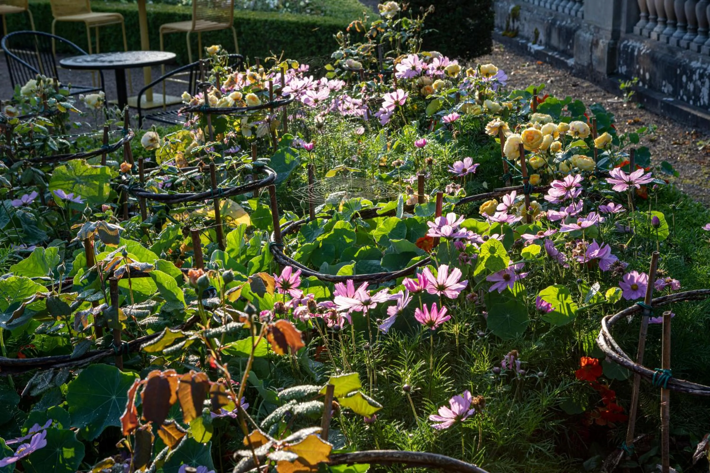Garden in The Wood Norton
