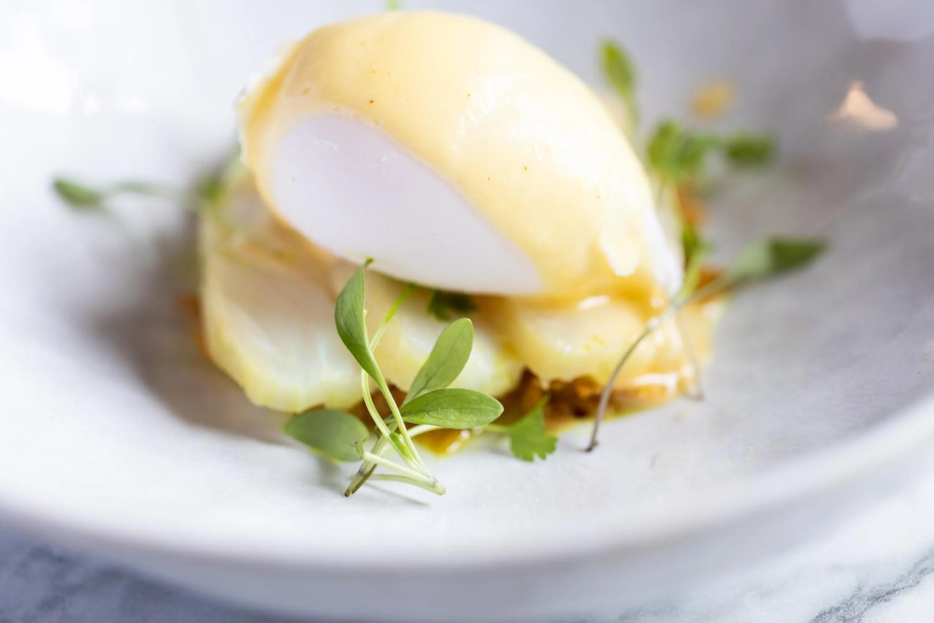 Food close-up in The Wood Norton