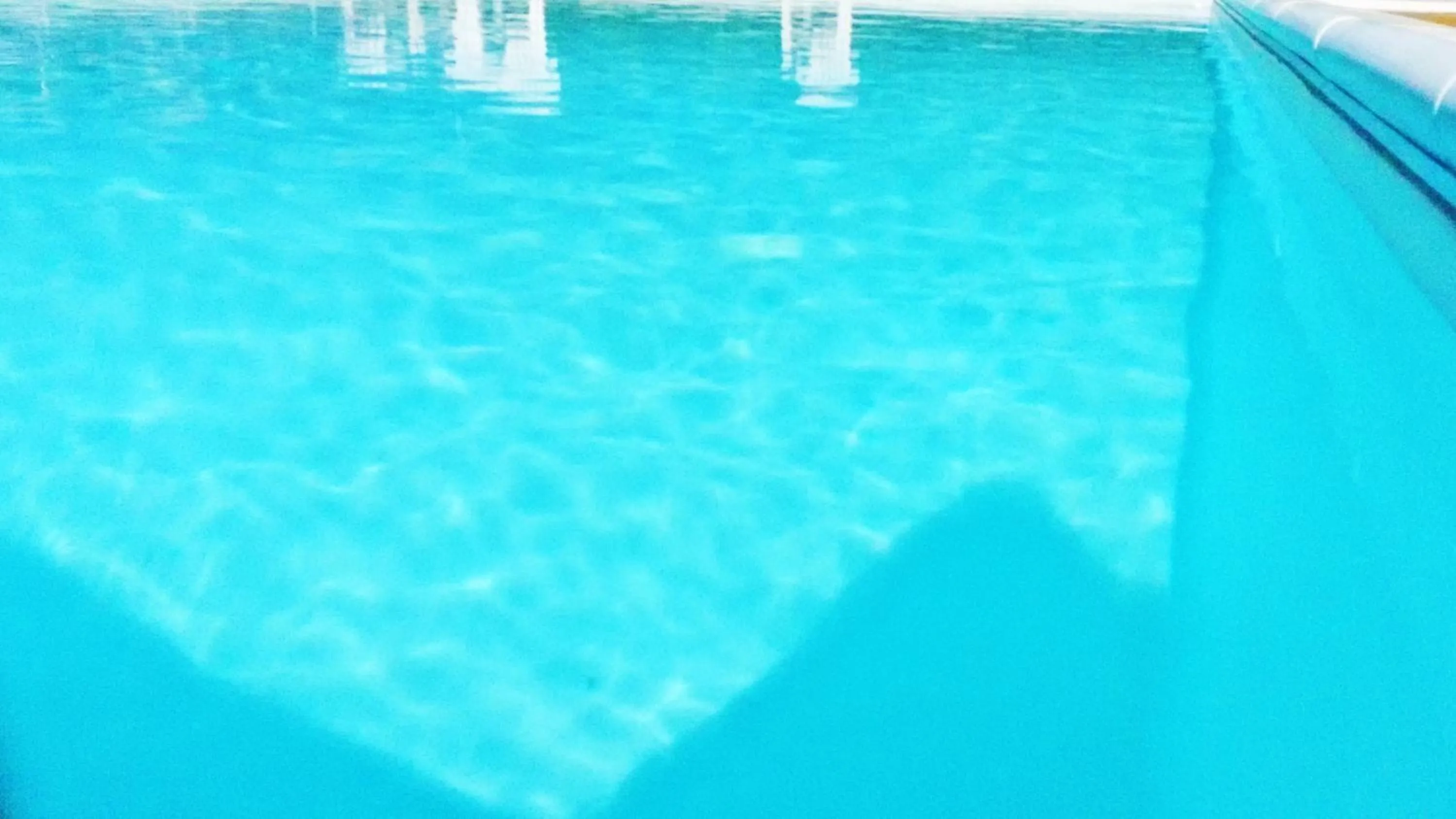 Swimming pool in Red Rose B&B