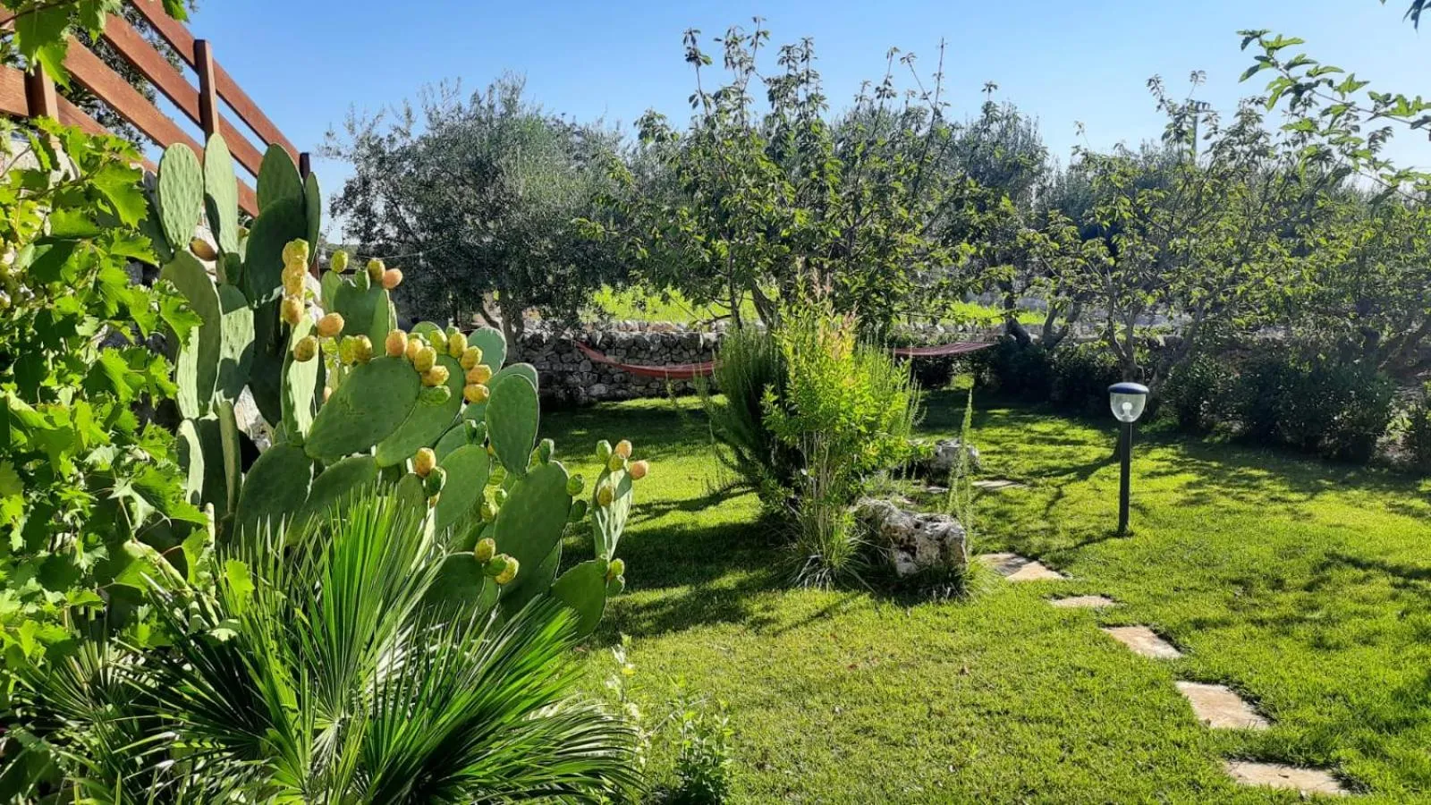 Garden in Red Rose B&B