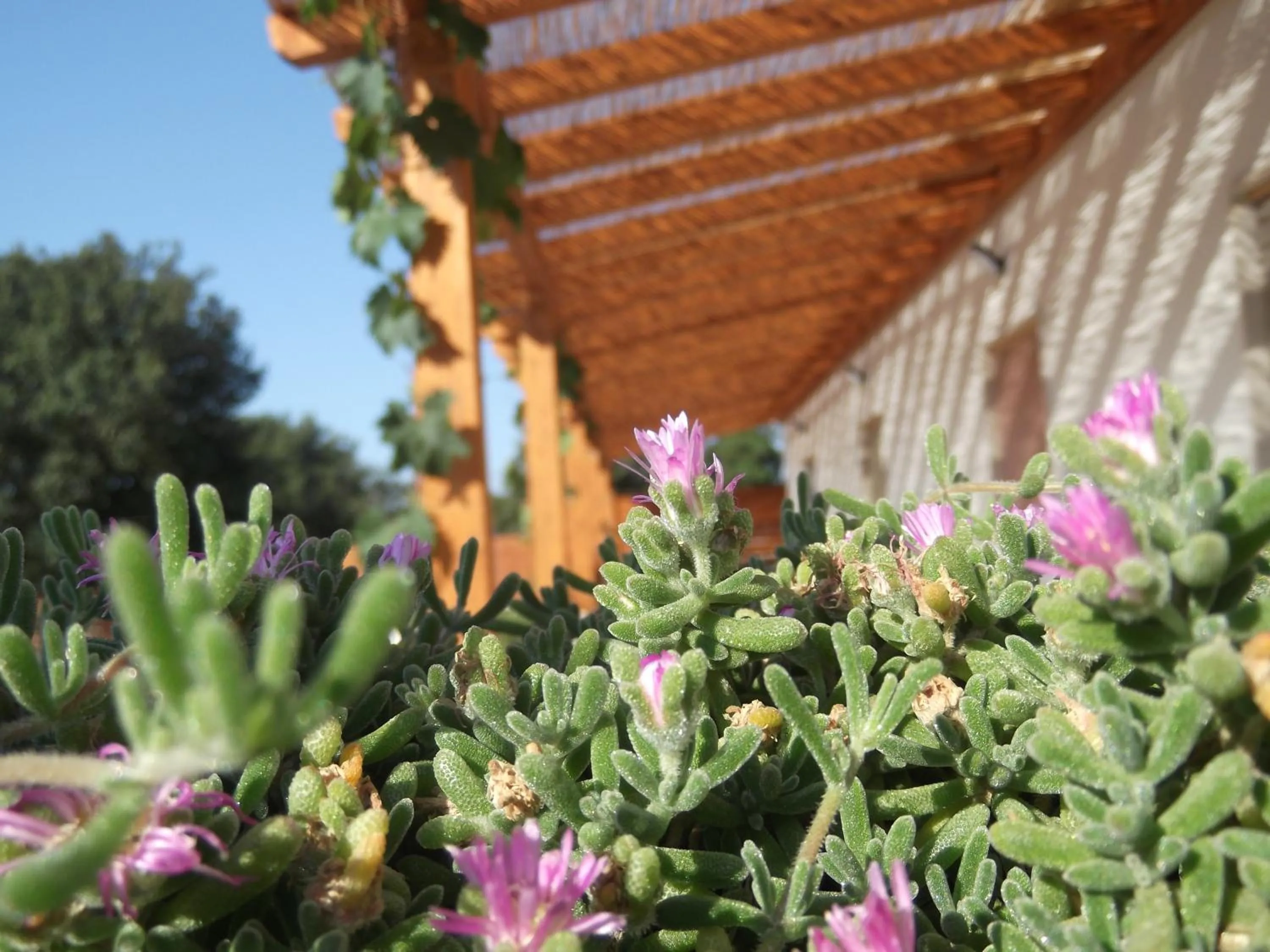 Facade/entrance in Red Rose B&B