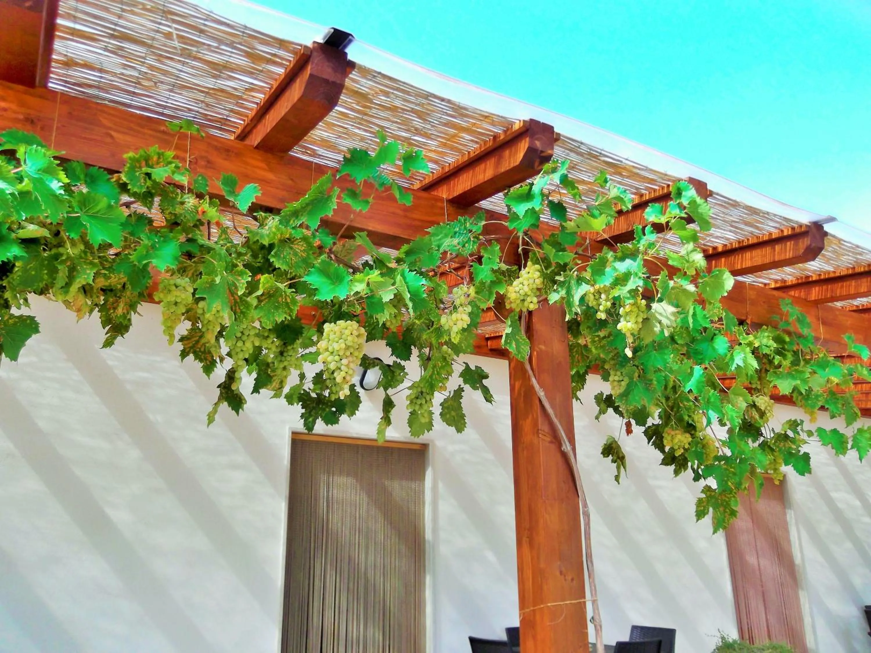 Facade/entrance in Red Rose B&B