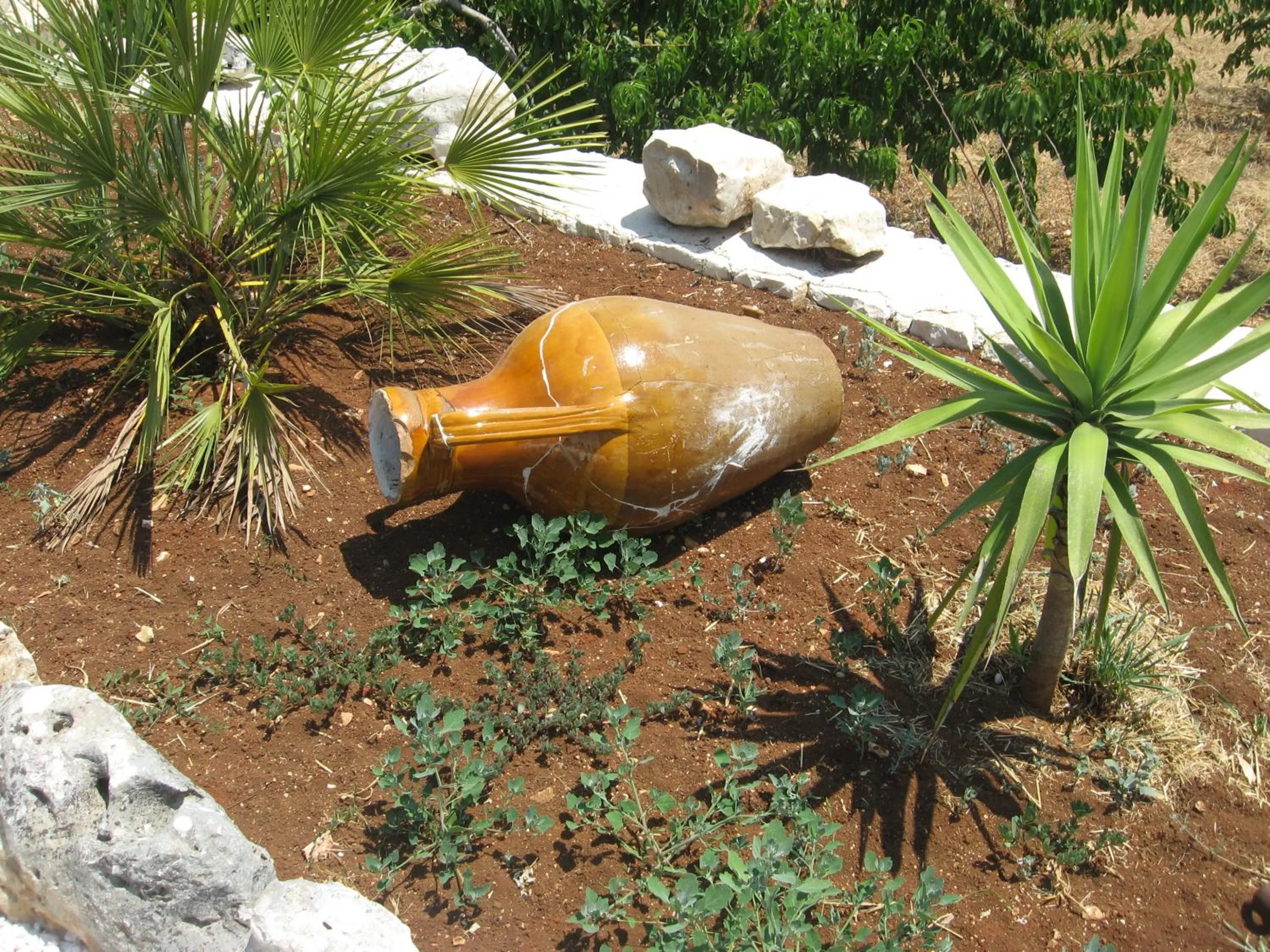 Area and facilities in Red Rose B&B