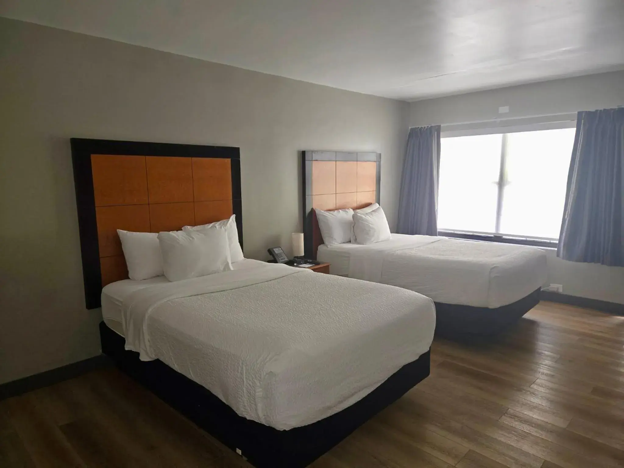 Standard Double Room in La Quinta Inn Tampa Airport Stadium Westshore Standard Double Room in La Quinta Inn Tampa Airport Stadium Westshore
