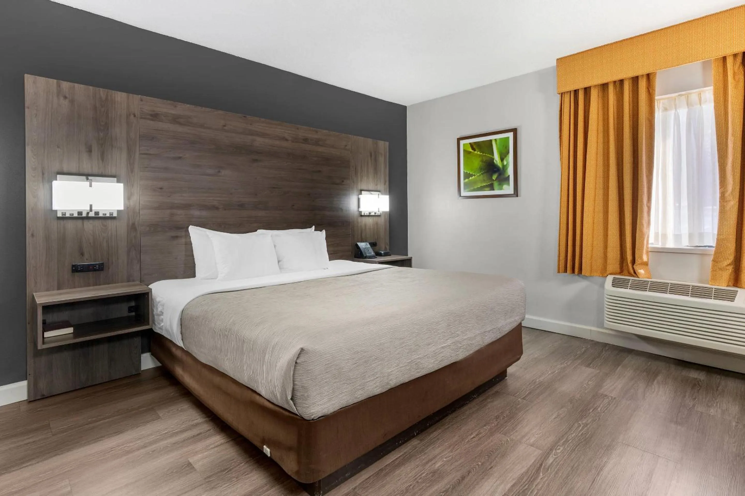 Bedroom, Bed in Quality Inn & Suites Raleigh Durham Airport