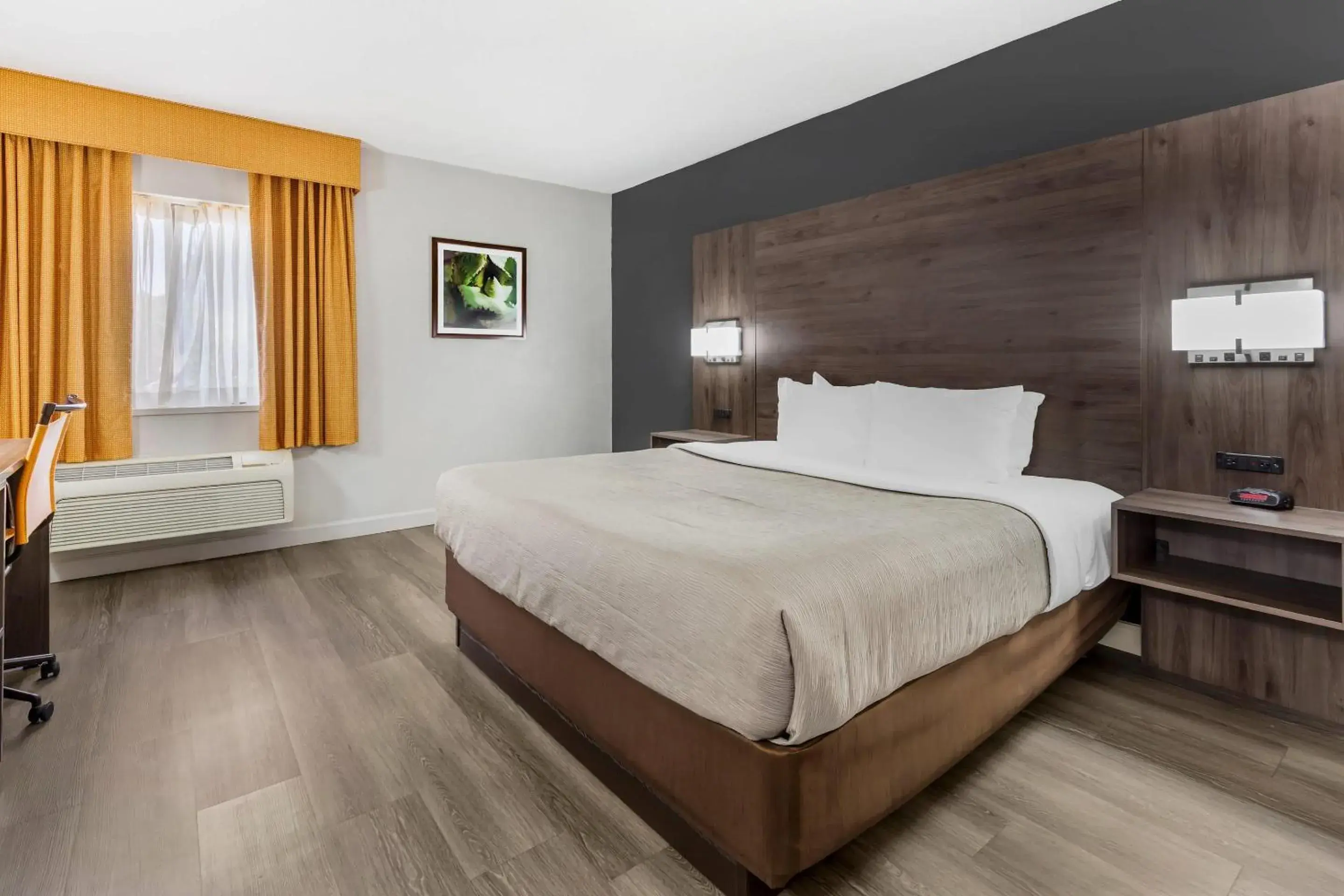 King Room - Non-Smoking in Quality Inn & Suites Raleigh Durham Airport King Room - Non-Smoking in Quality Inn & Suites Raleigh Durham Airport