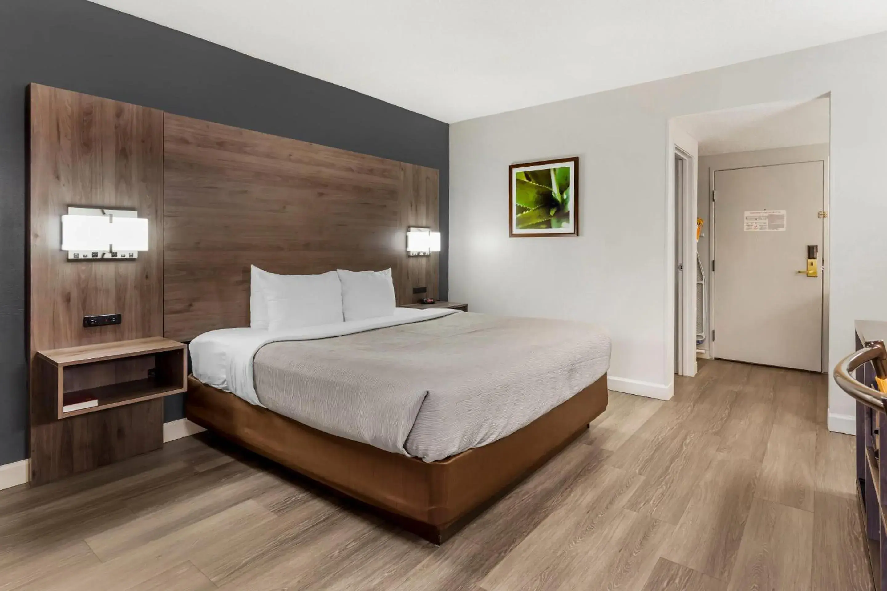 King Room - Accessible/Non-Smoking in Quality Inn & Suites Raleigh Durham Airport King Room - Accessible/Non-Smoking in Quality Inn & Suites Raleigh Durham Airport