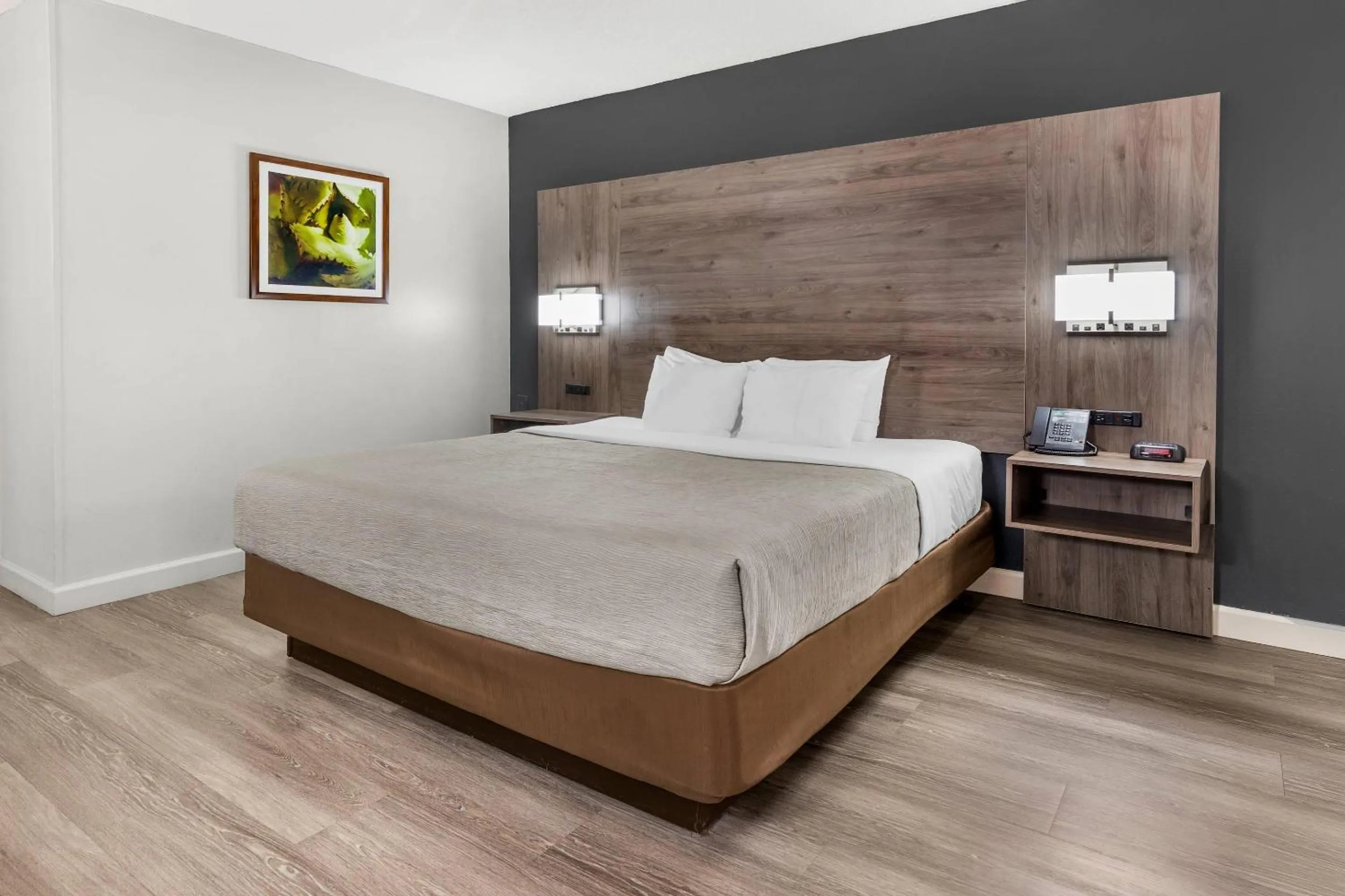 Bedroom, Bed in Quality Inn & Suites Raleigh Durham Airport