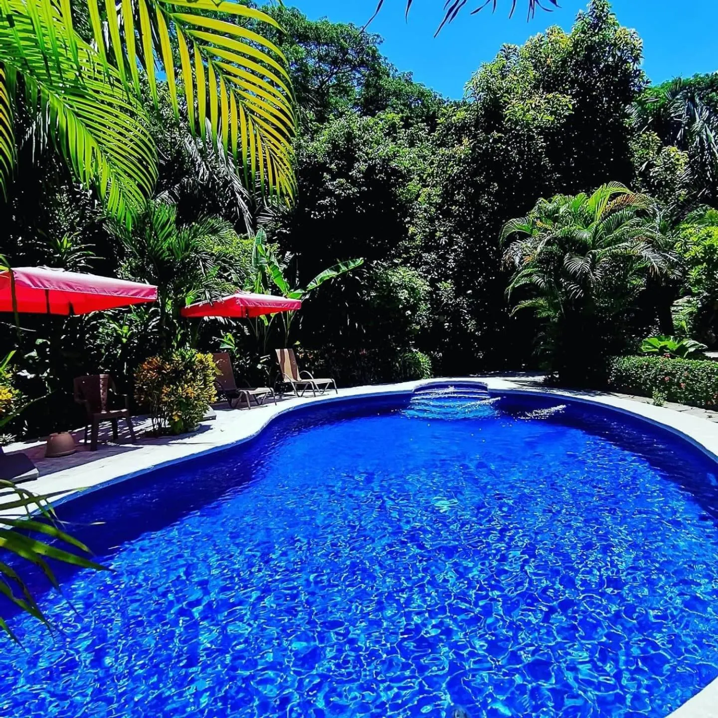 Hotel Belvedere Playa Samara Costa Rica