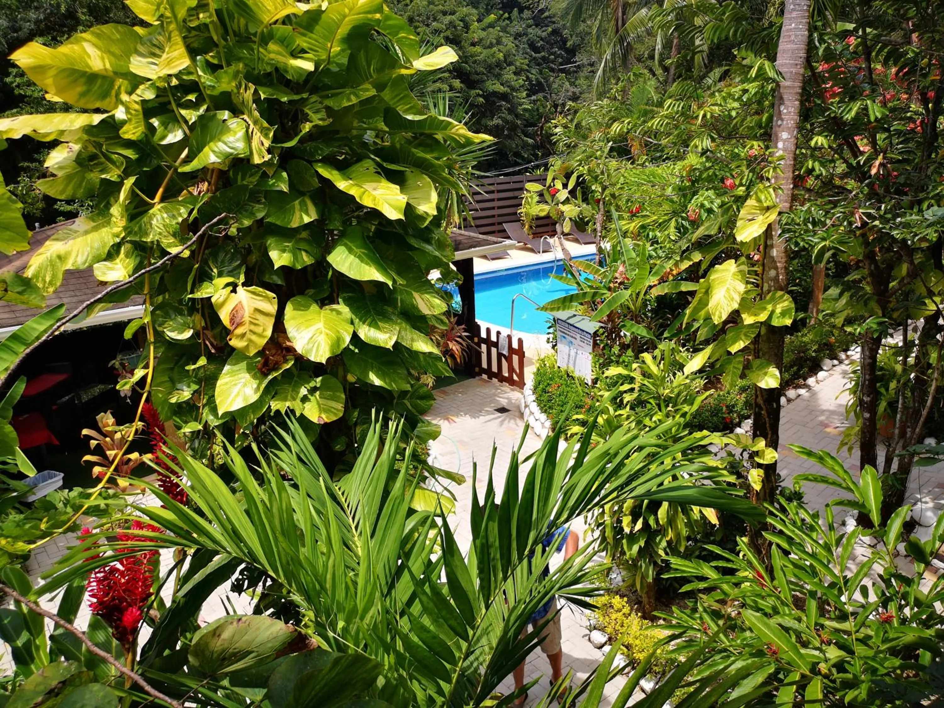 Garden view in Hotel Belvedere Playa Samara Costa Rica