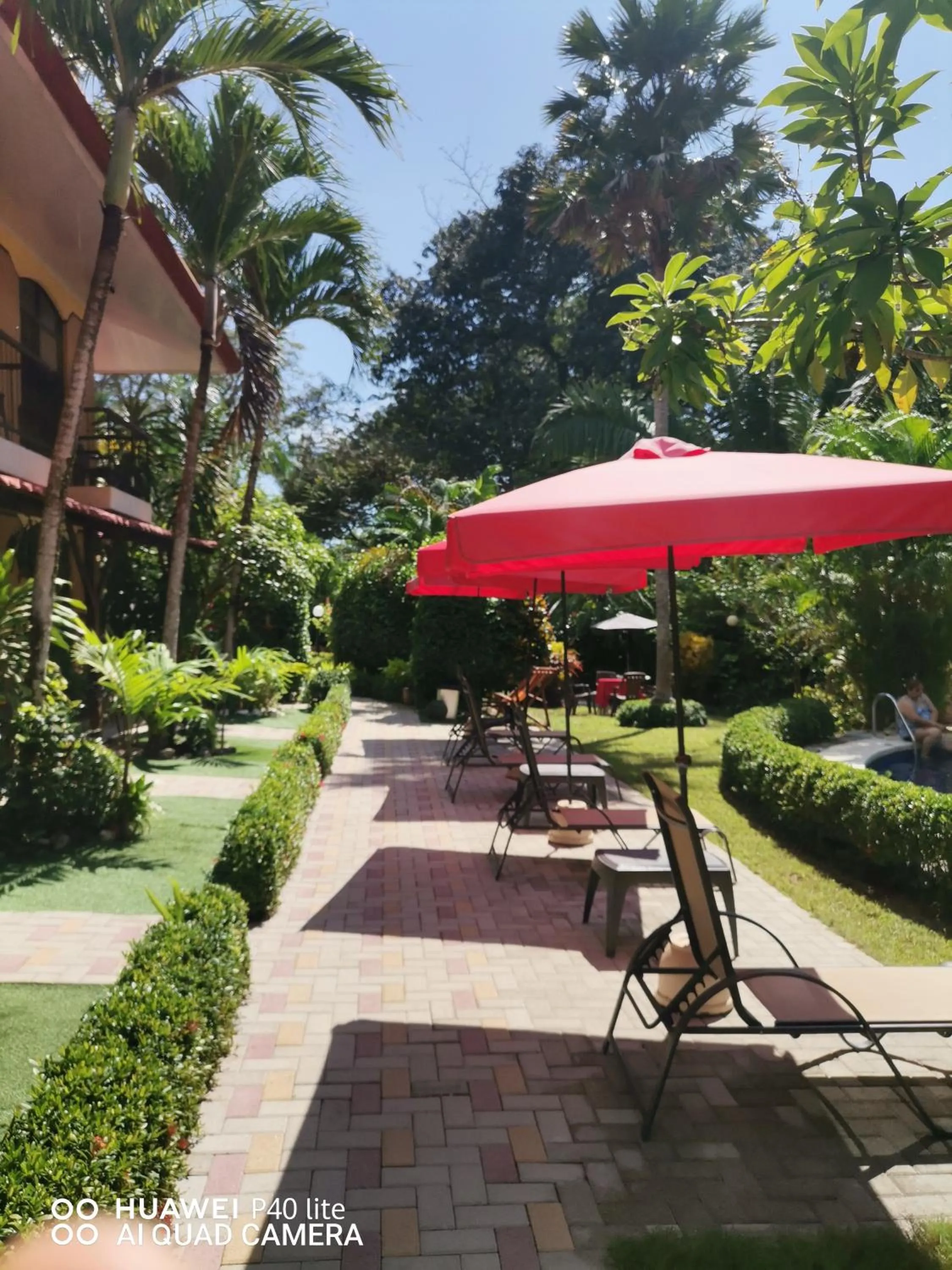 Hotel Belvedere Playa Samara Costa Rica