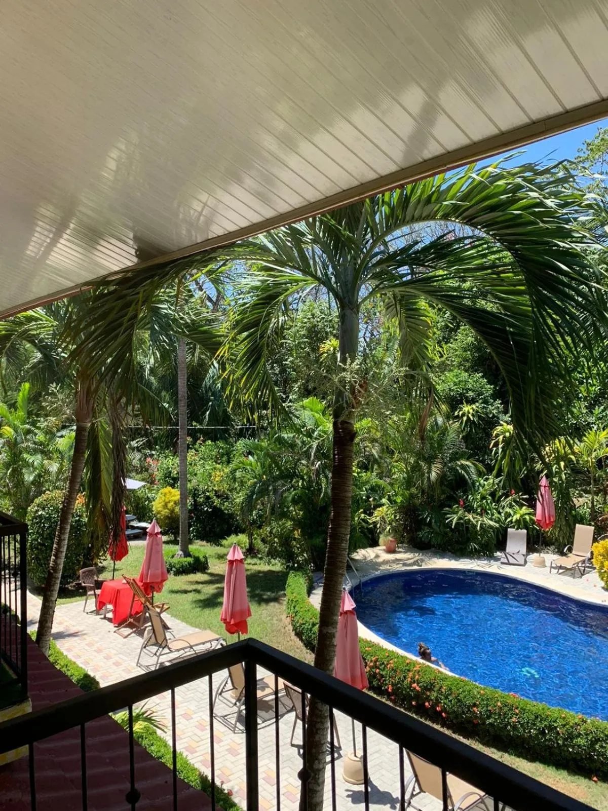 Hotel Belvedere Playa Samara Costa Rica