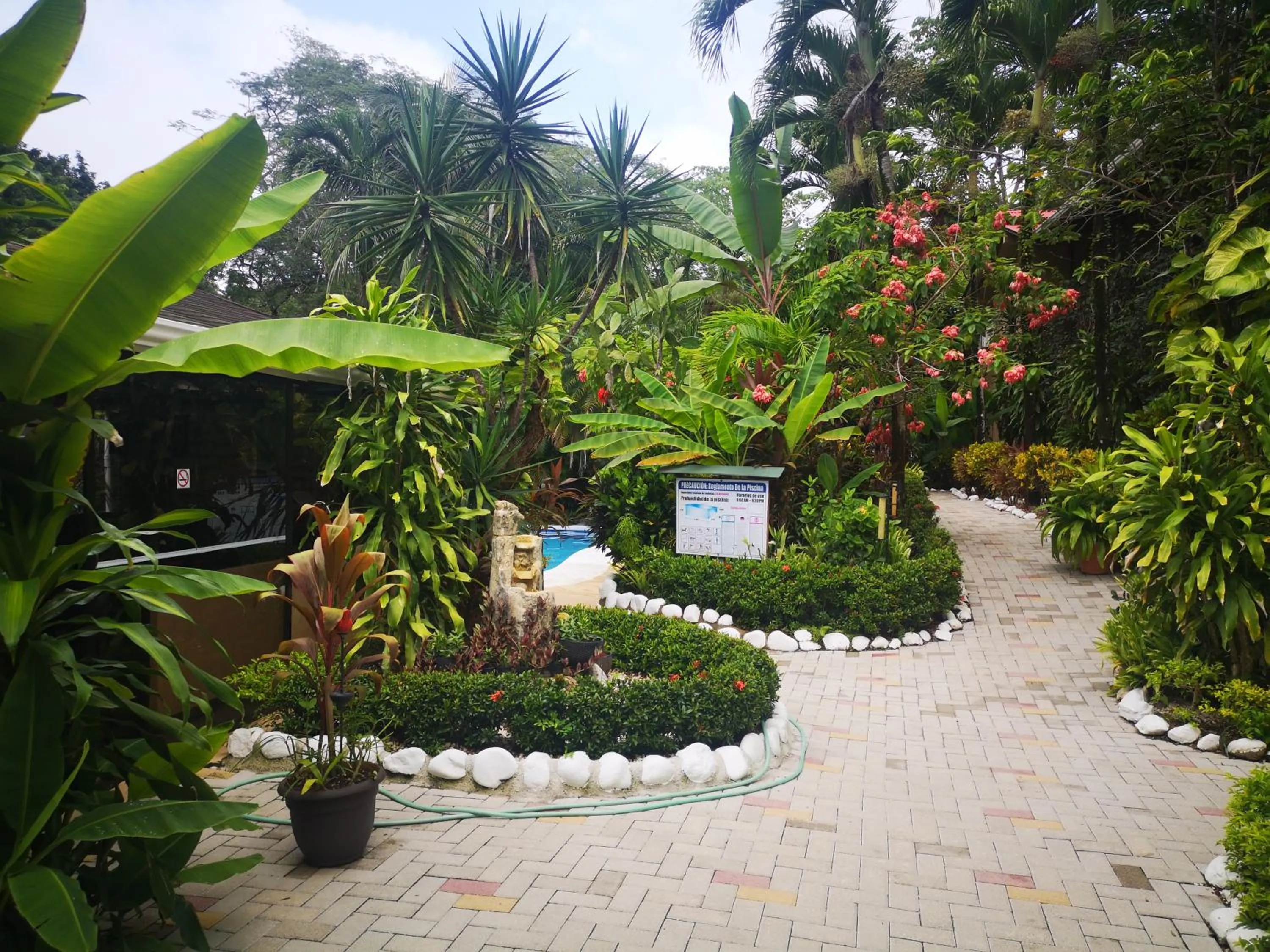 Hotel Belvedere Playa Samara Costa Rica