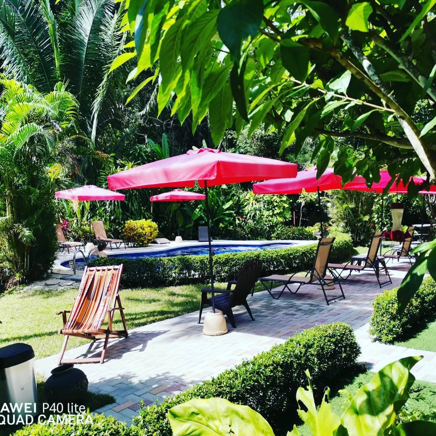 Hotel Belvedere Playa Samara Costa Rica