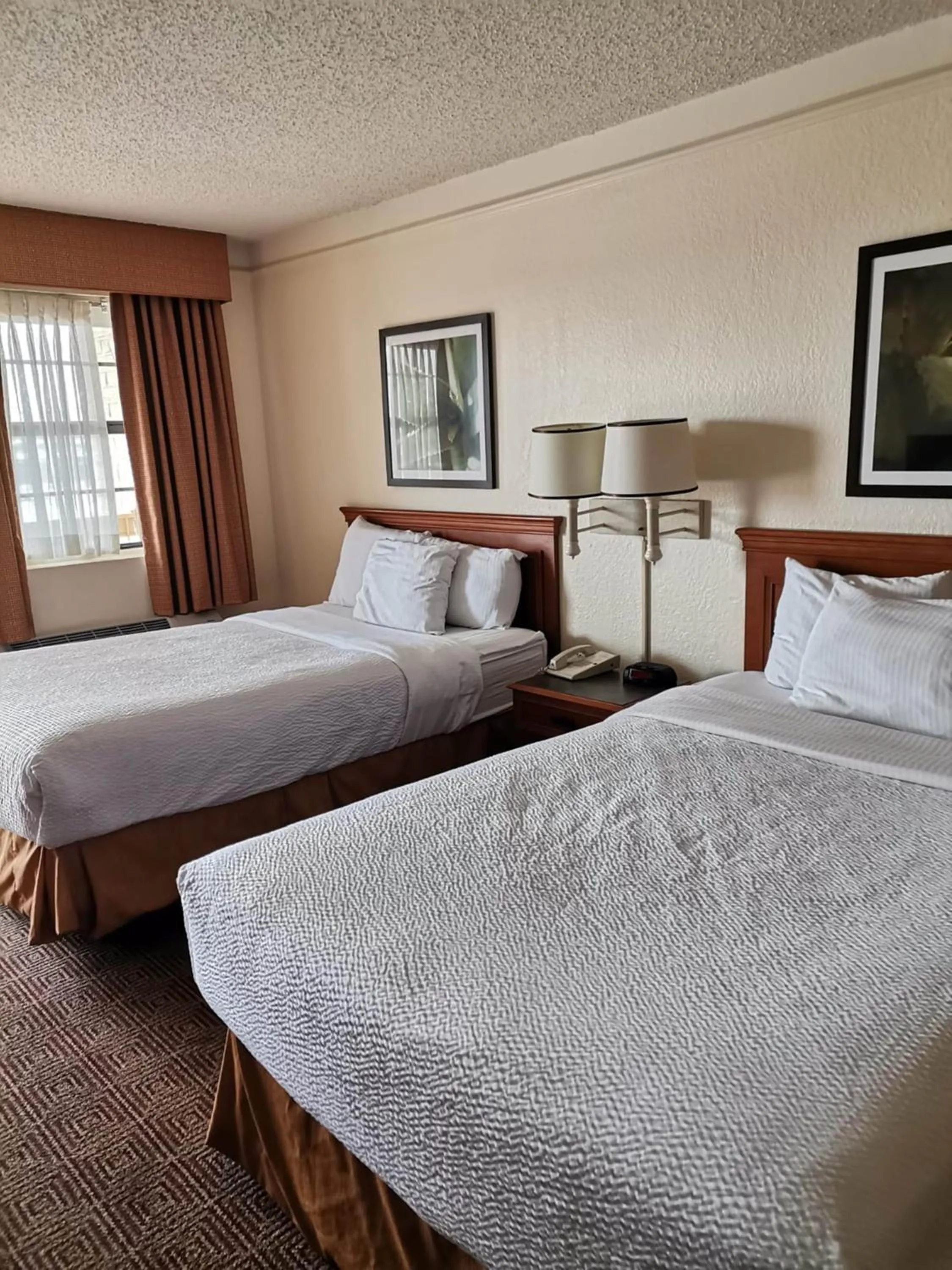 Bed in Super 8 by Wyndham San Antonio Near SeaWorld Ingram Park