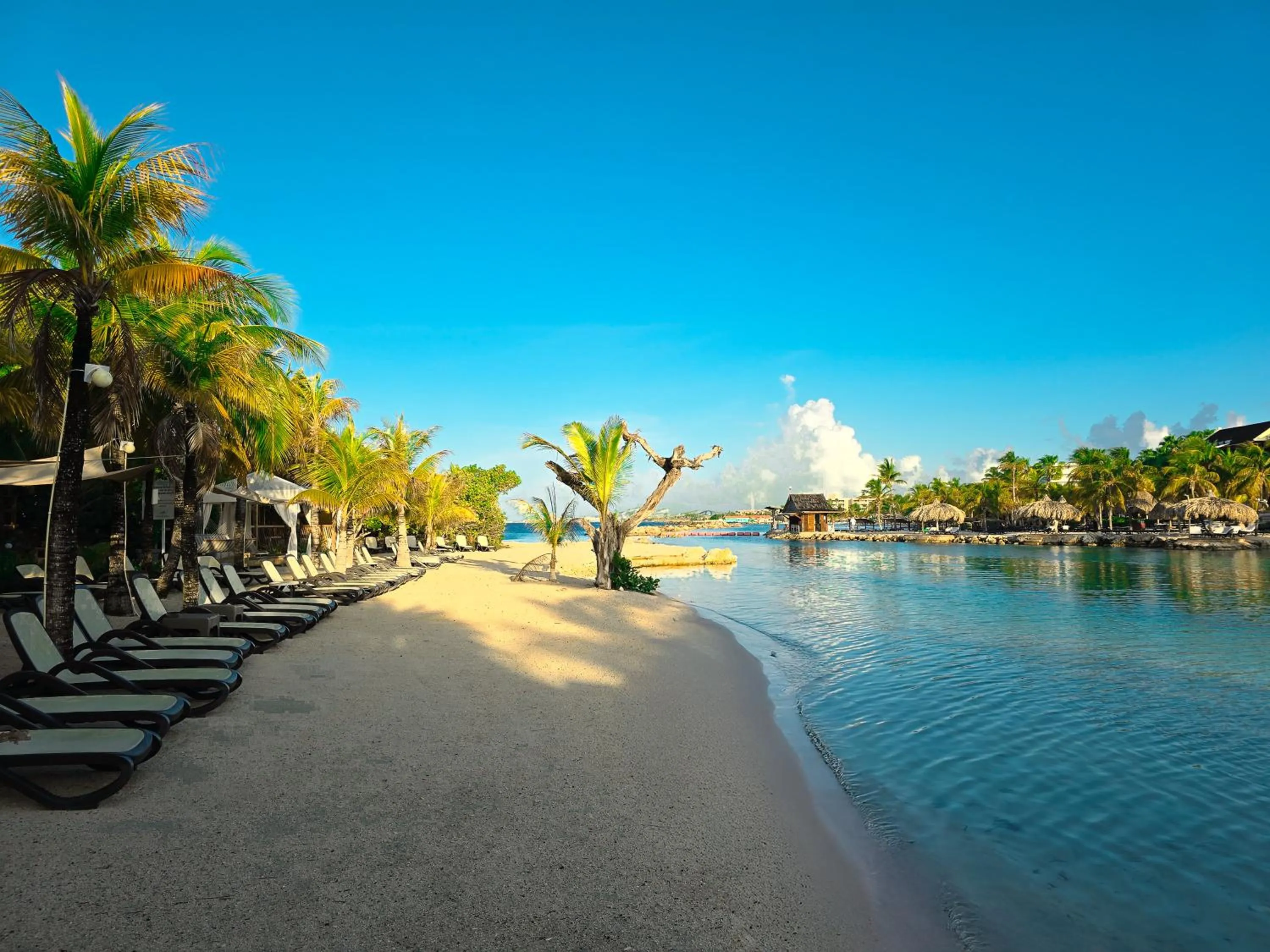 Beach in The Royal Sea Aquarium Resort