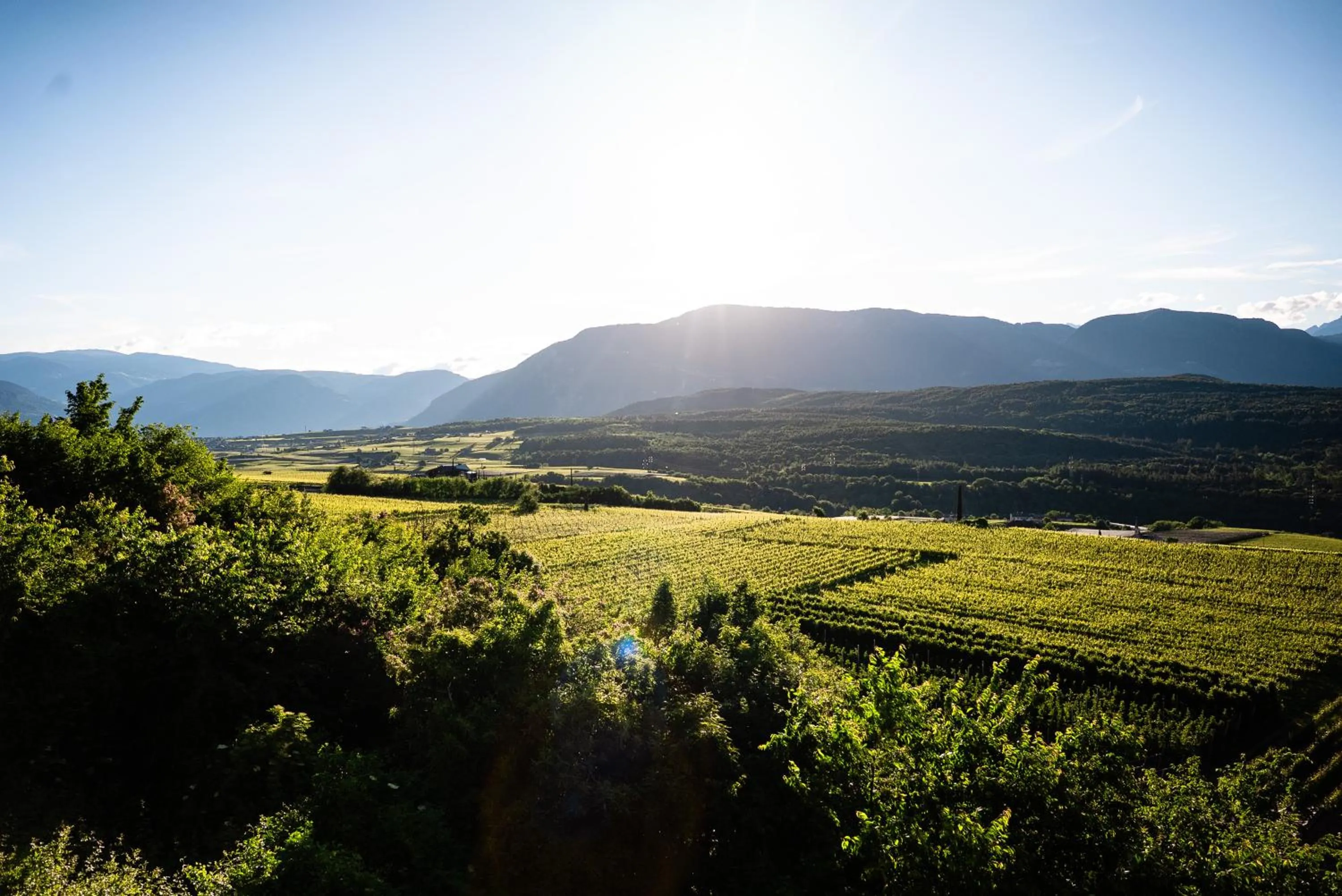 Spring in Residence Tannhof