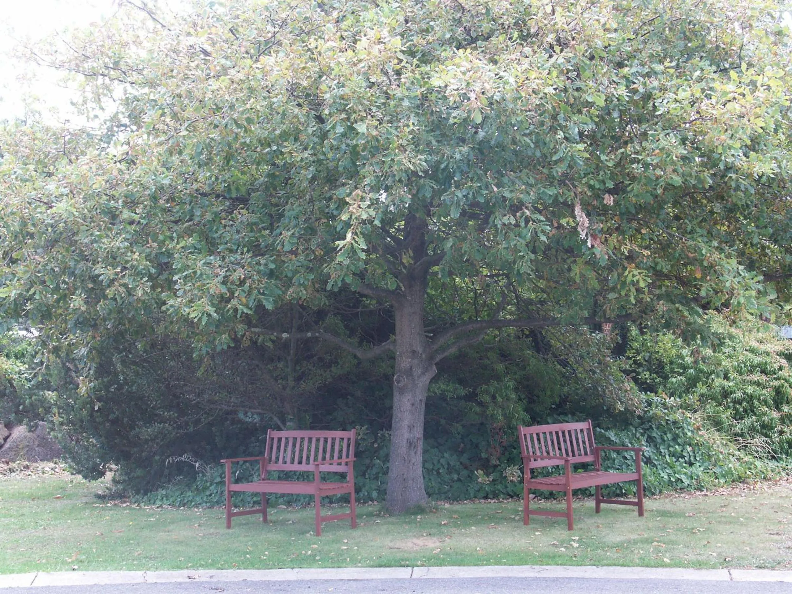 Facade/entrance in Melaleuca Motel
