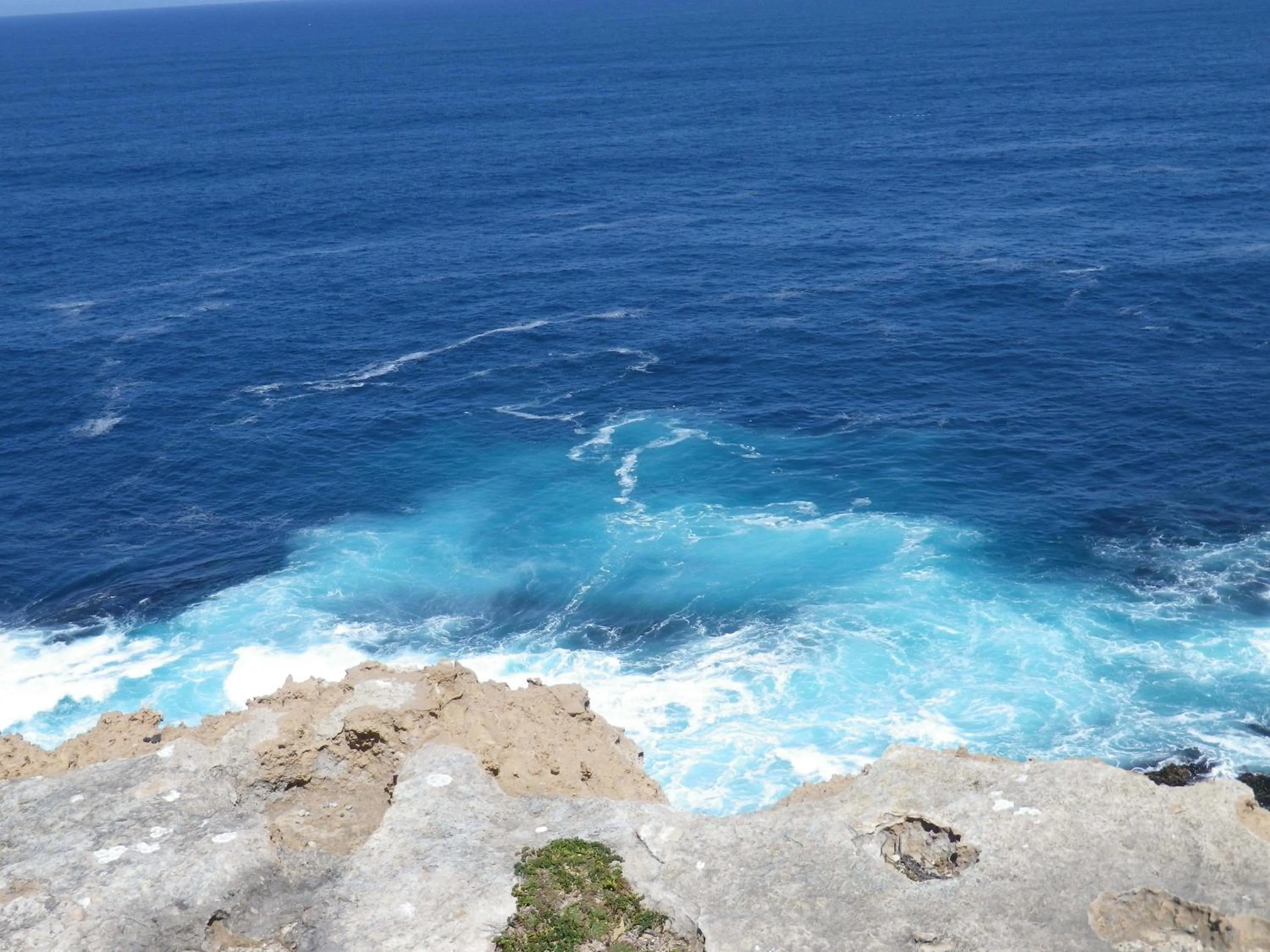 Snorkeling in Melaleuca Motel