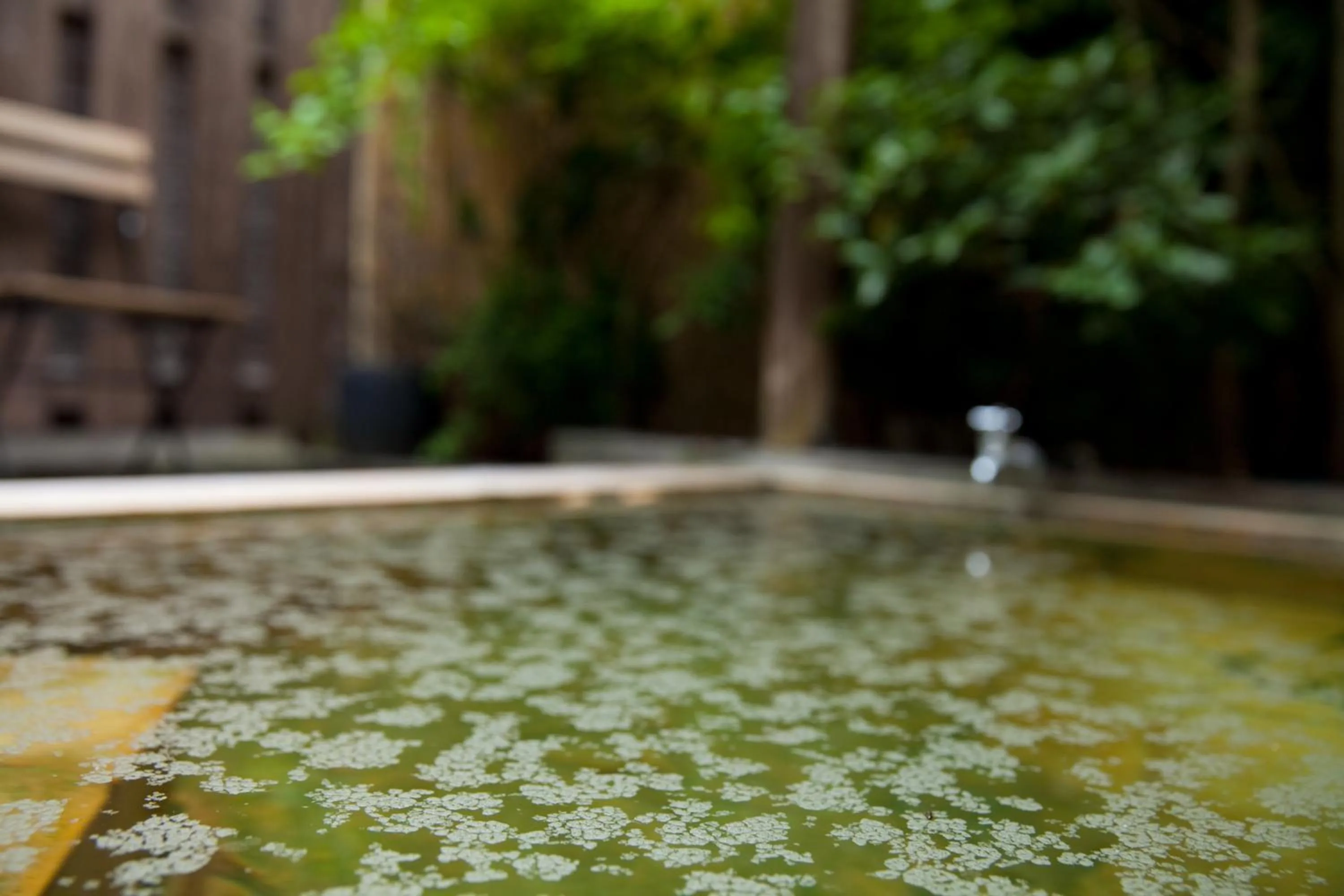 Hot Spring Bath in Ryokan Sennari (13 years or older)