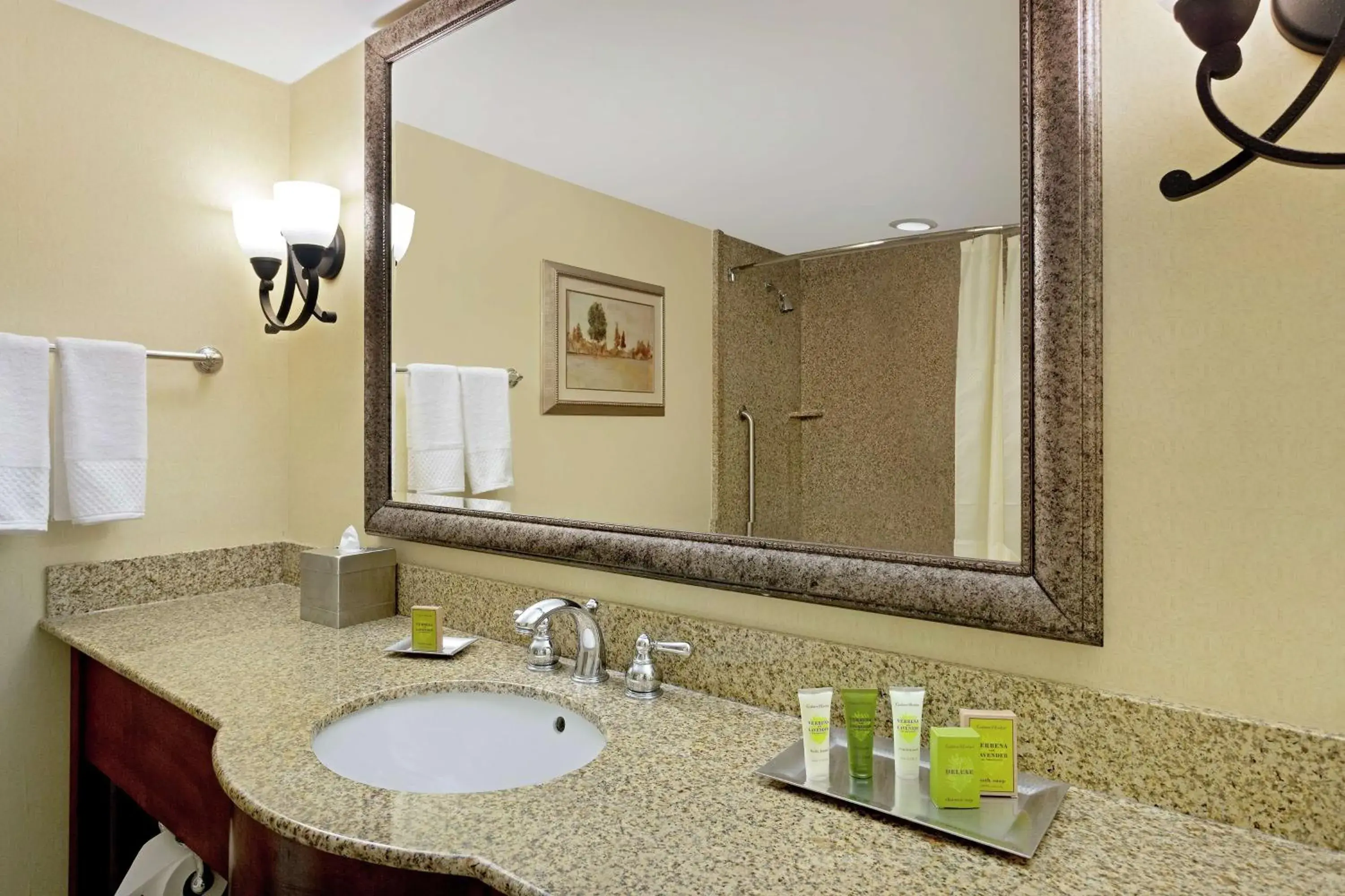 King Room with Roll-In Shower and City View - Mobility Access in Hilton Jackson King Room with Roll-In Shower and City View - Mobility Access in Hilton Jackson