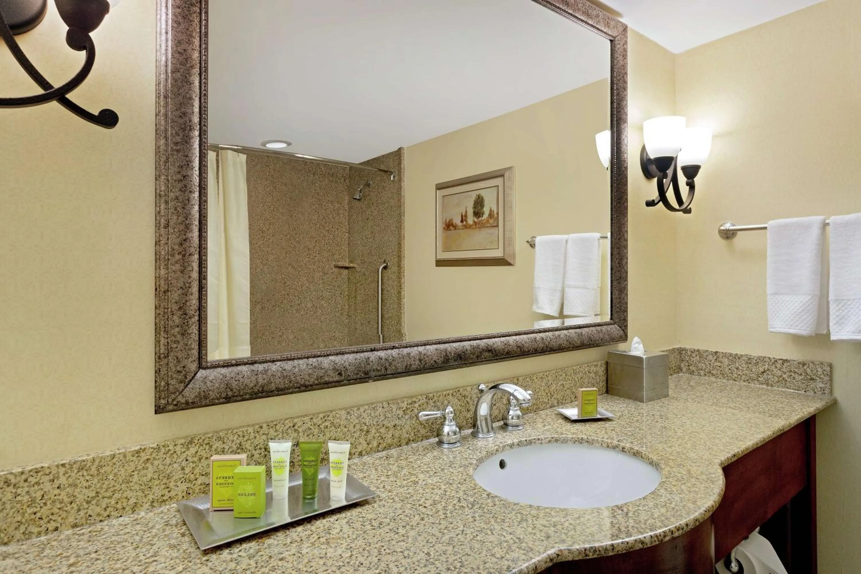 Bathroom in Hilton Jackson