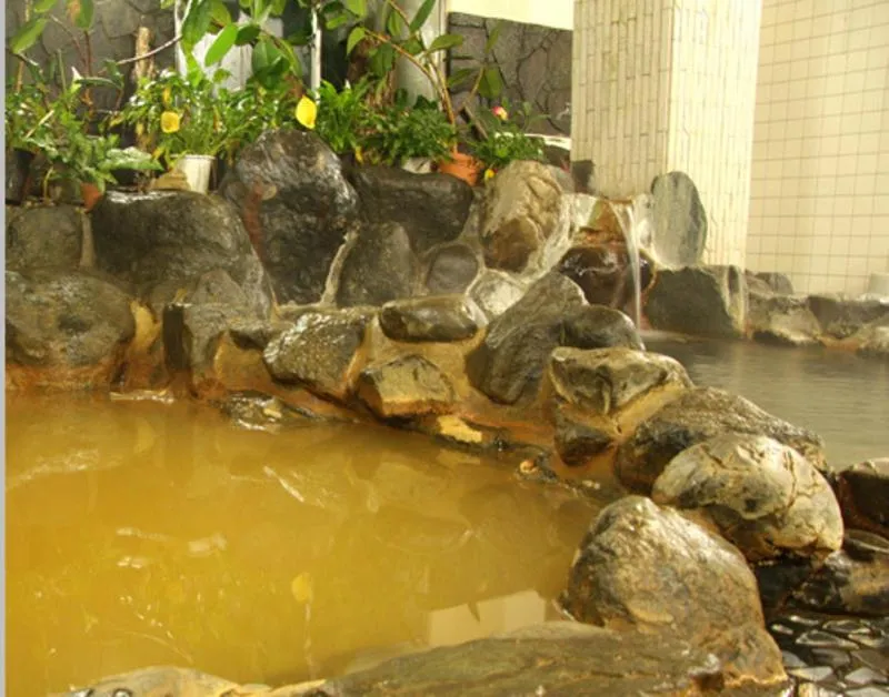 Hot Spring Bath in Suisenkaku