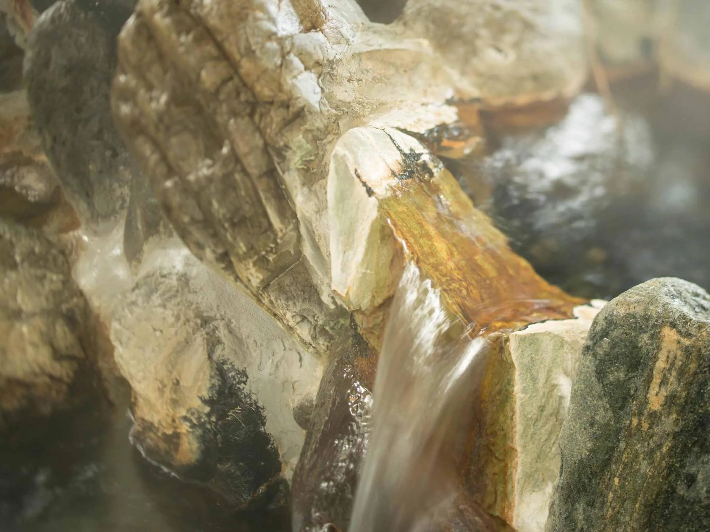 Hot Spring Bath in Suisenkaku