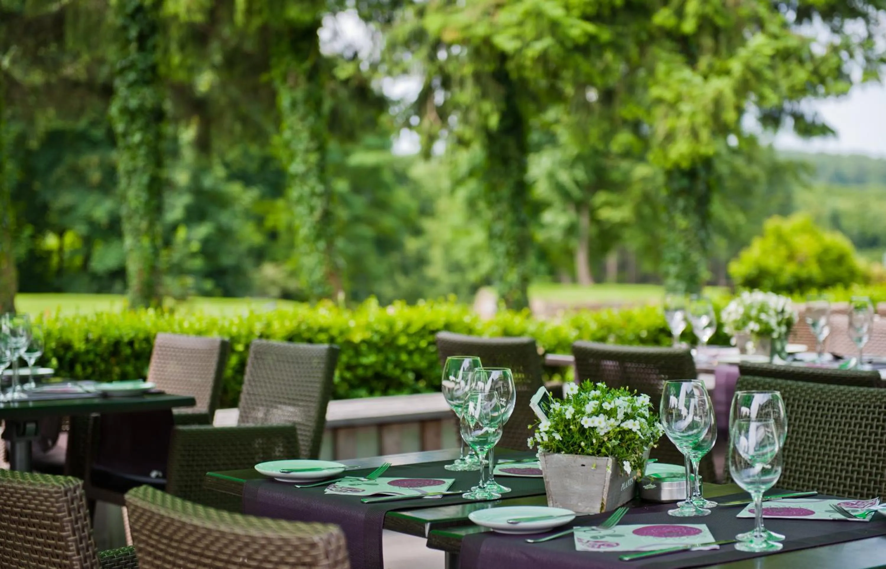 Balcony/Terrace in Das Vesper