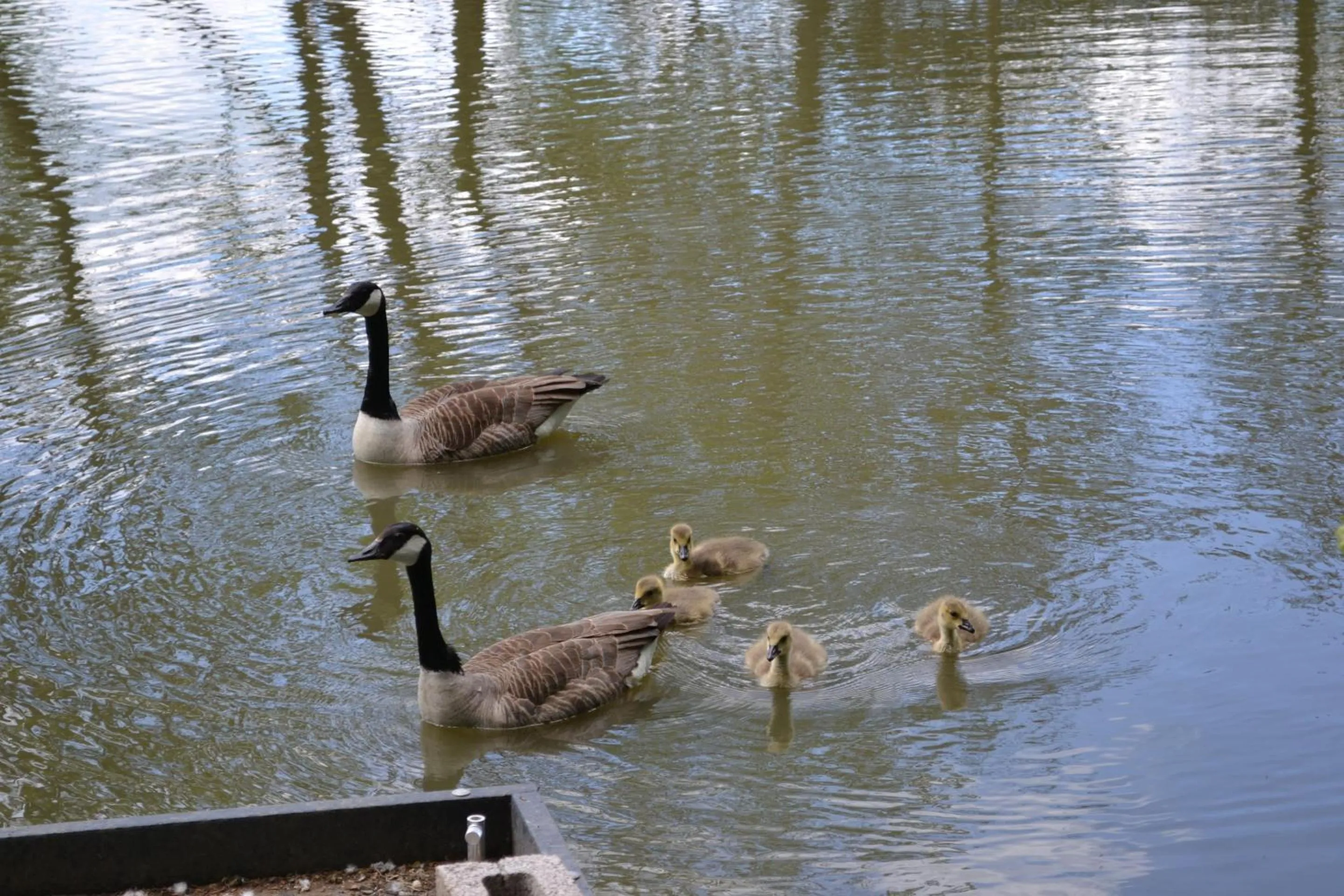 Other in The Chiltern Lodges at Upper Farm Henton