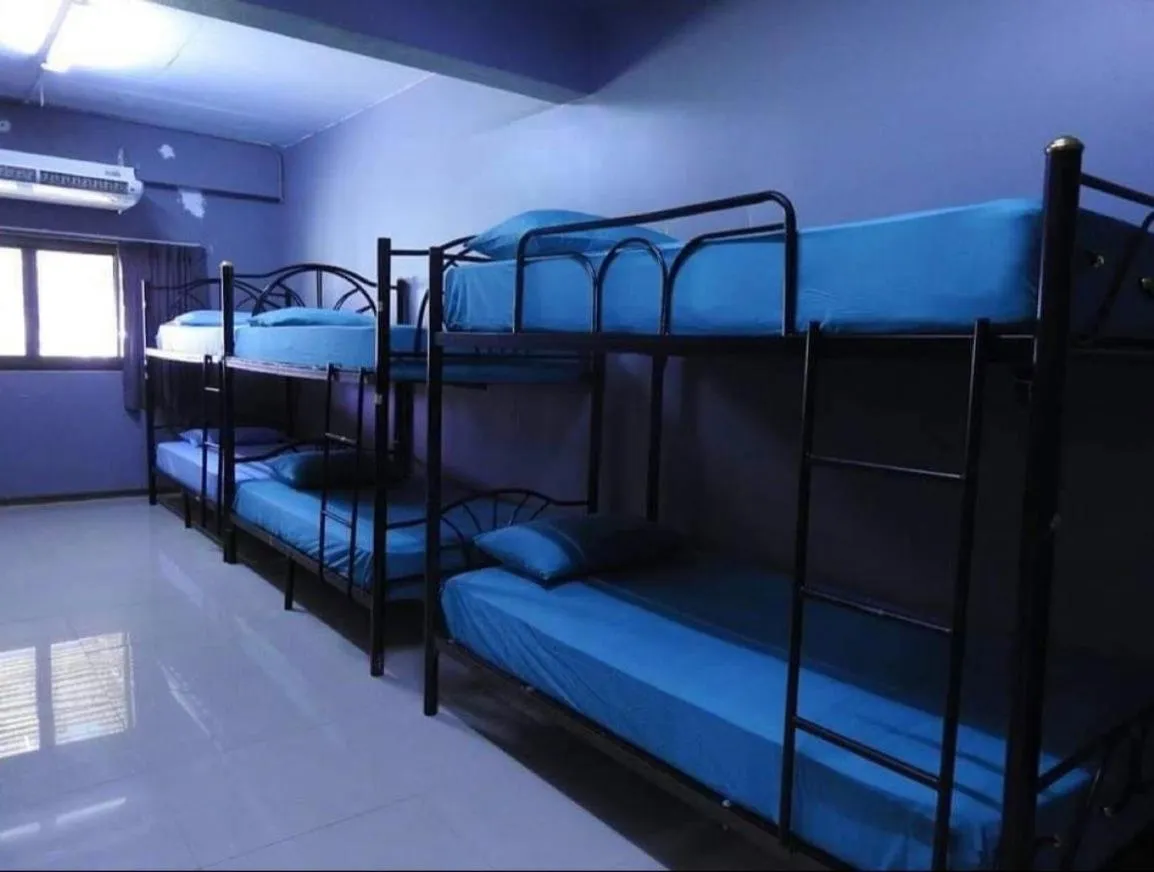 Bed in Phangan Arena Hostel
